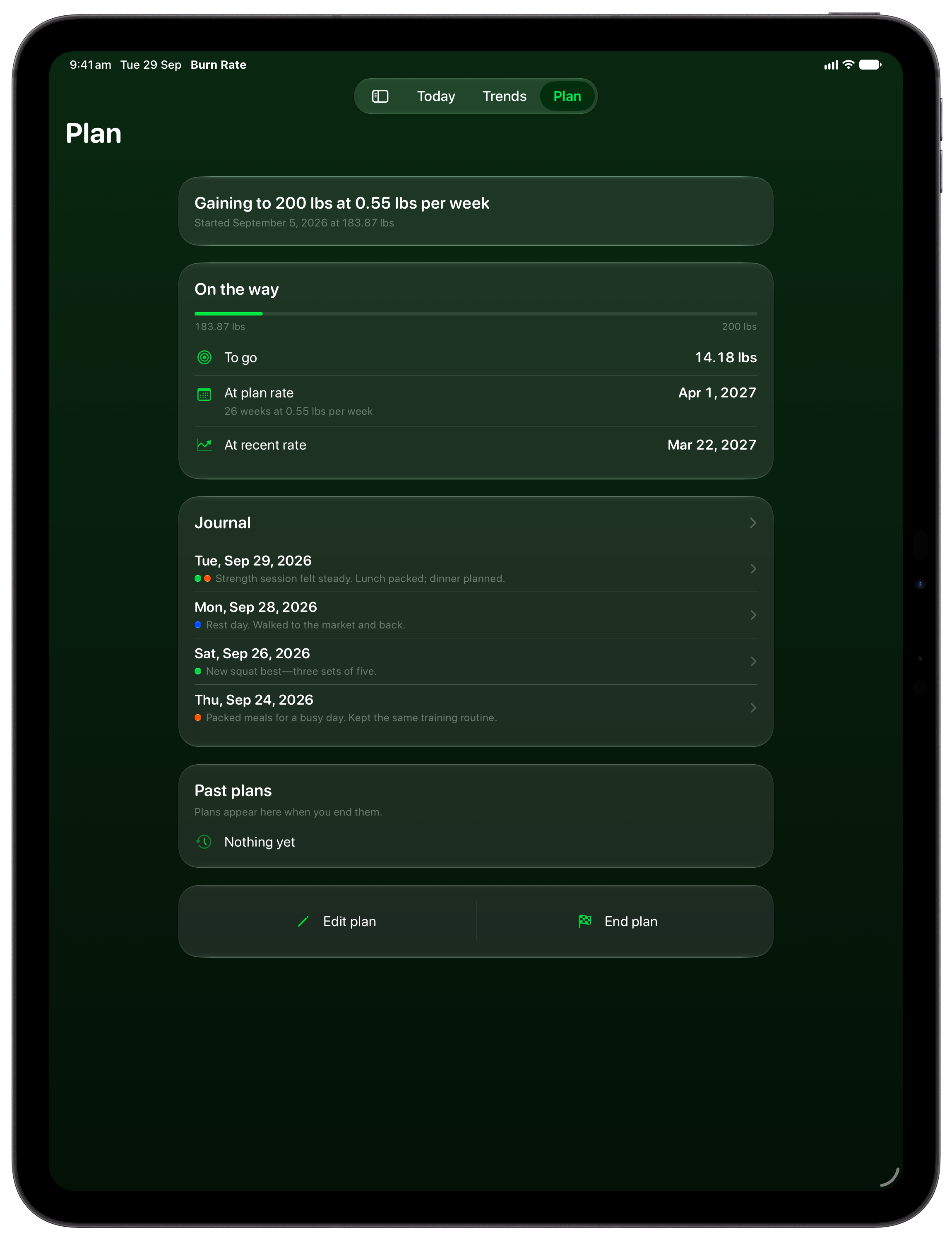 Burn Rate on iPad Pro 13-inch showing Plan in the Green tint, dark appearance.