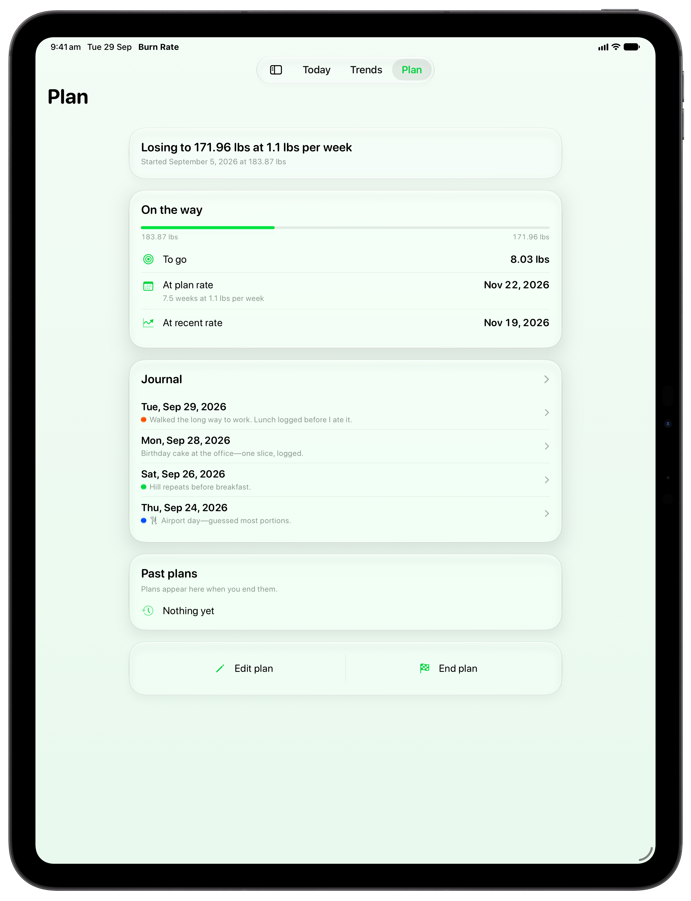 Burn Rate on iPad Pro 13-inch showing Plan in the Green tint, light appearance.