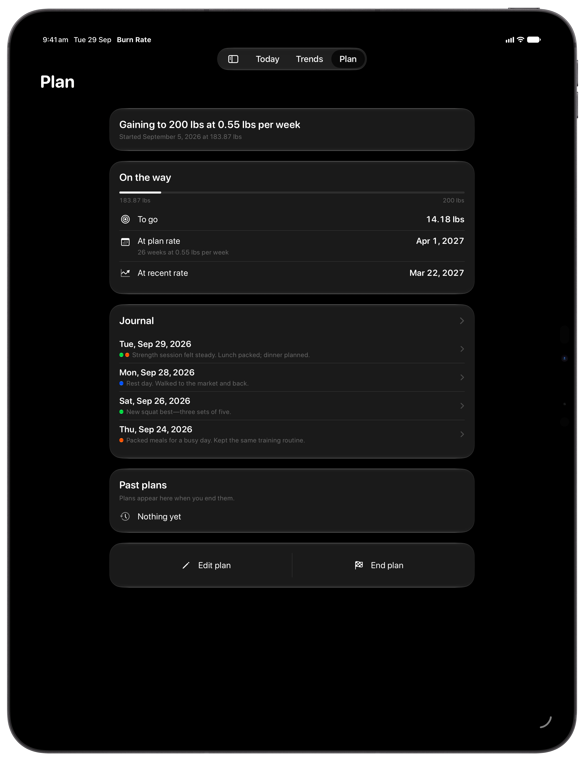 Burn Rate on iPad Pro 13-inch showing Plan in the Grey tint, dark appearance.