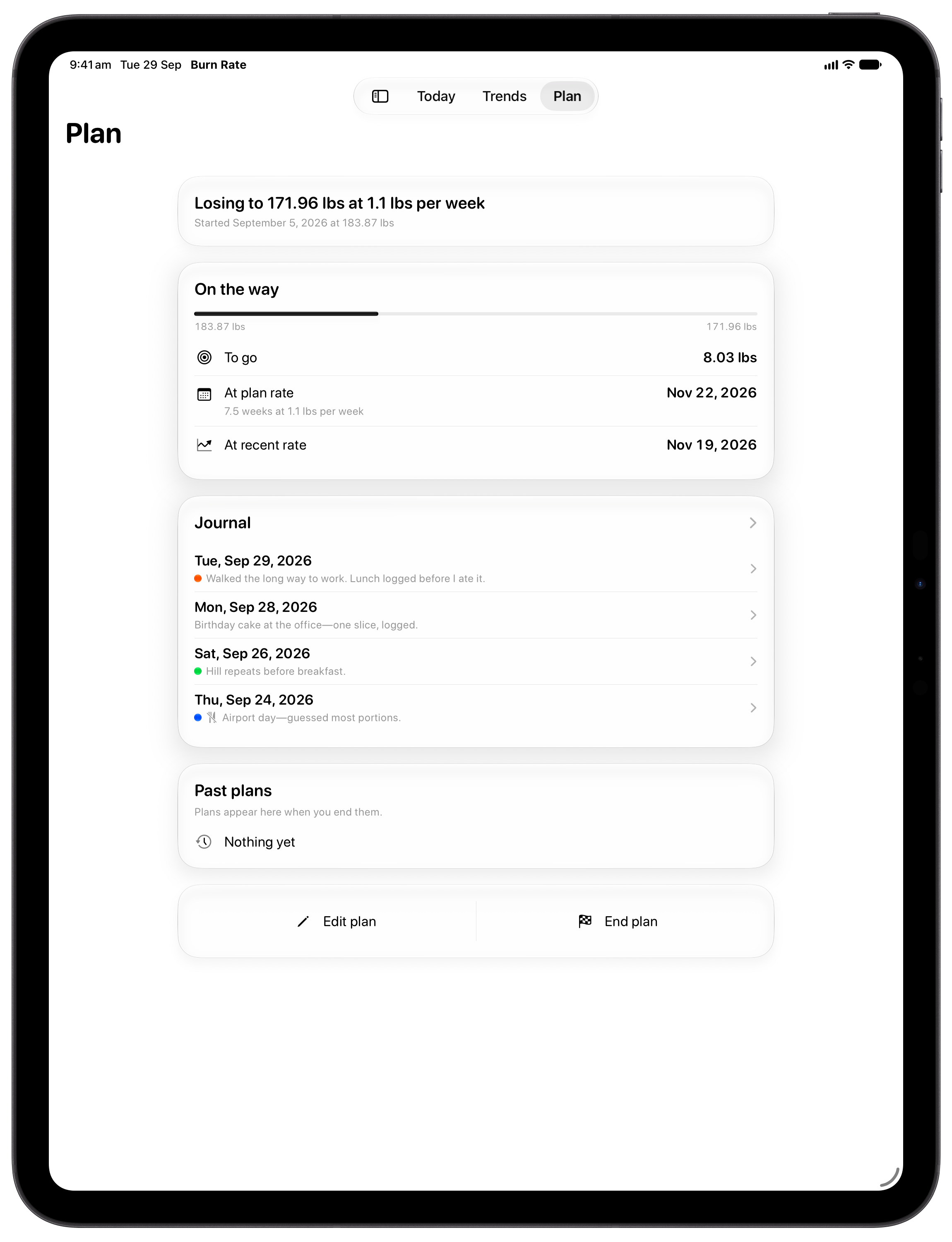 Burn Rate on iPad Pro 13-inch showing Plan in the Grey tint, light appearance.