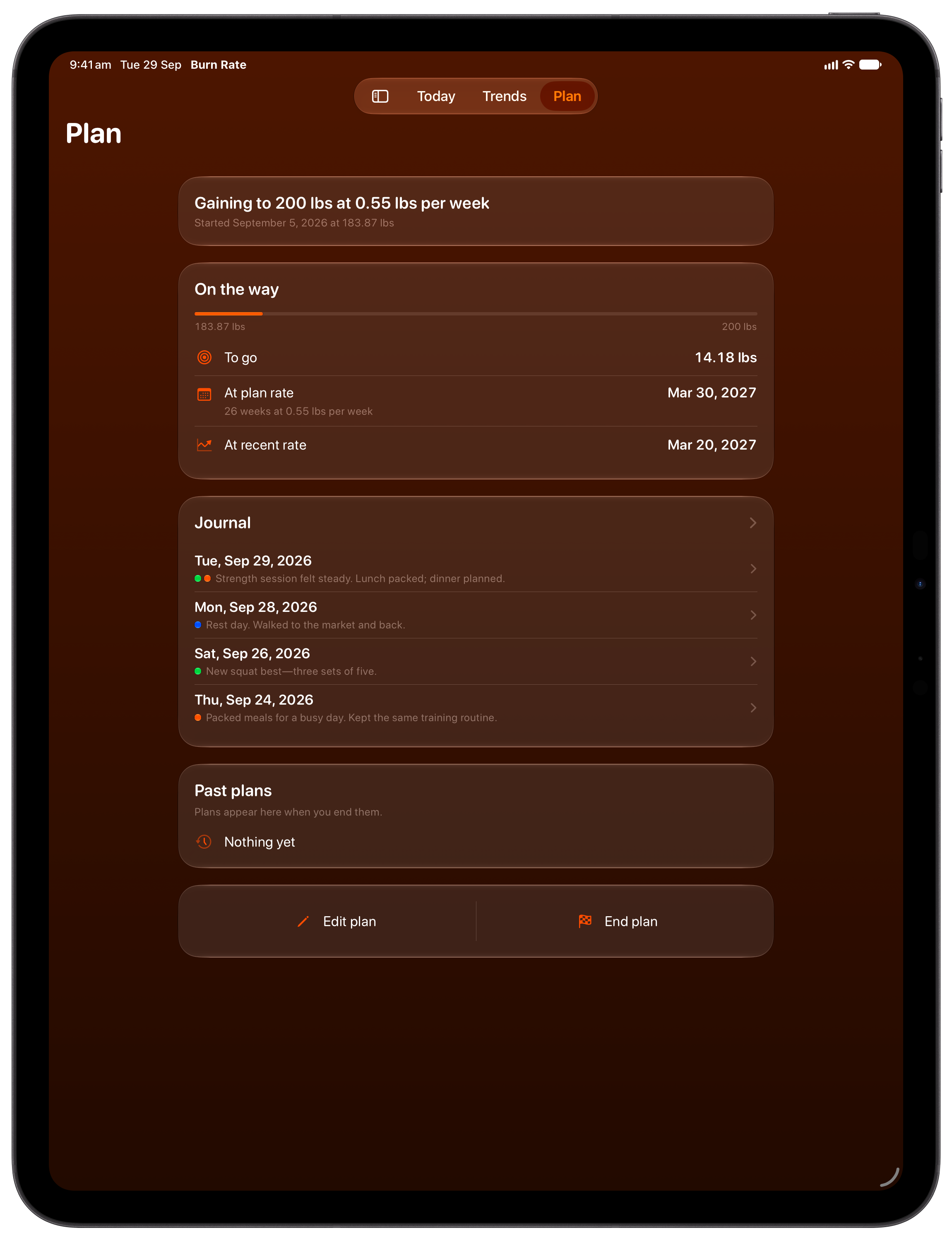 Burn Rate on iPad Pro 13-inch showing Plan in the Orange tint, dark appearance.