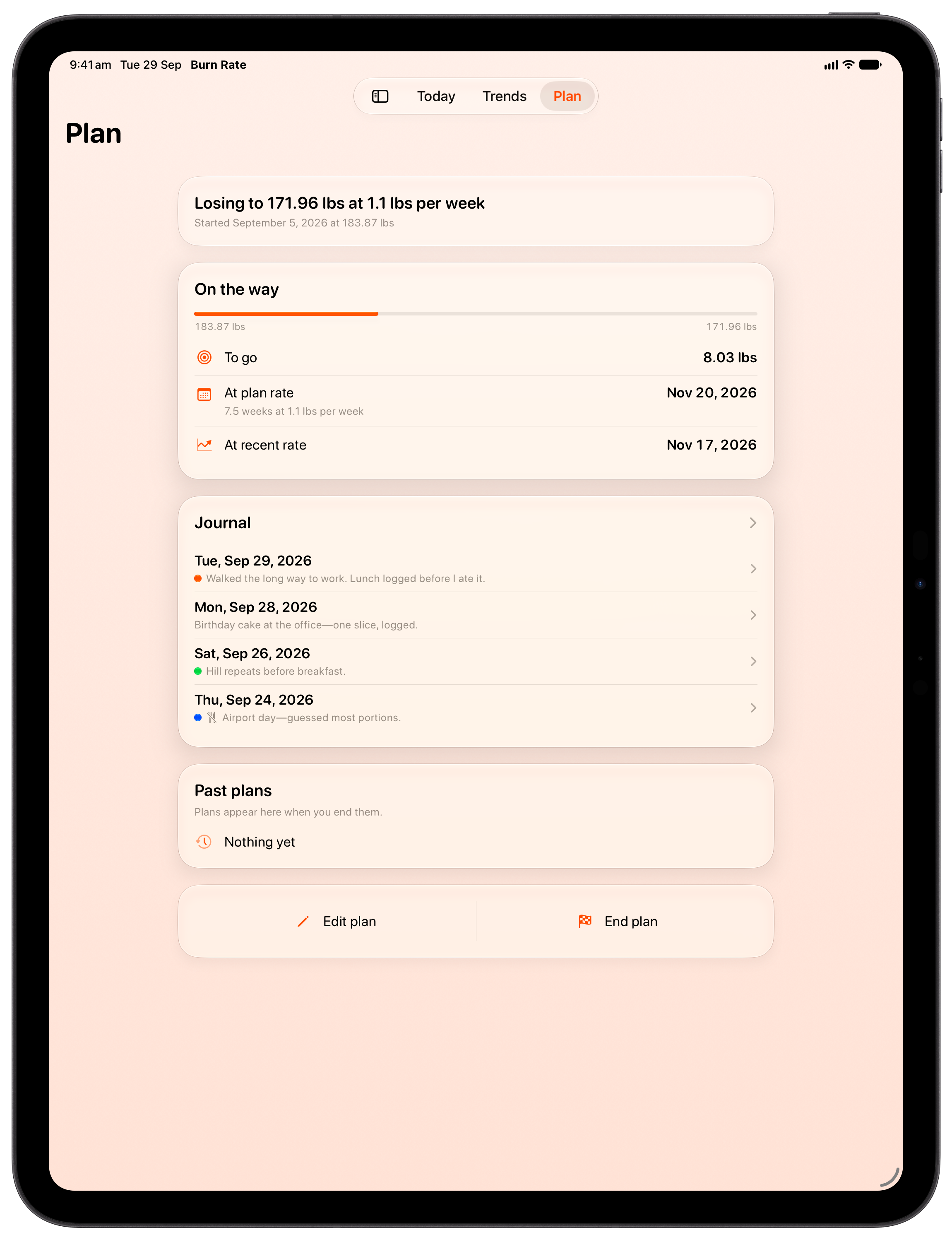 Burn Rate on iPad Pro 13-inch showing Plan in the Orange tint, light appearance.