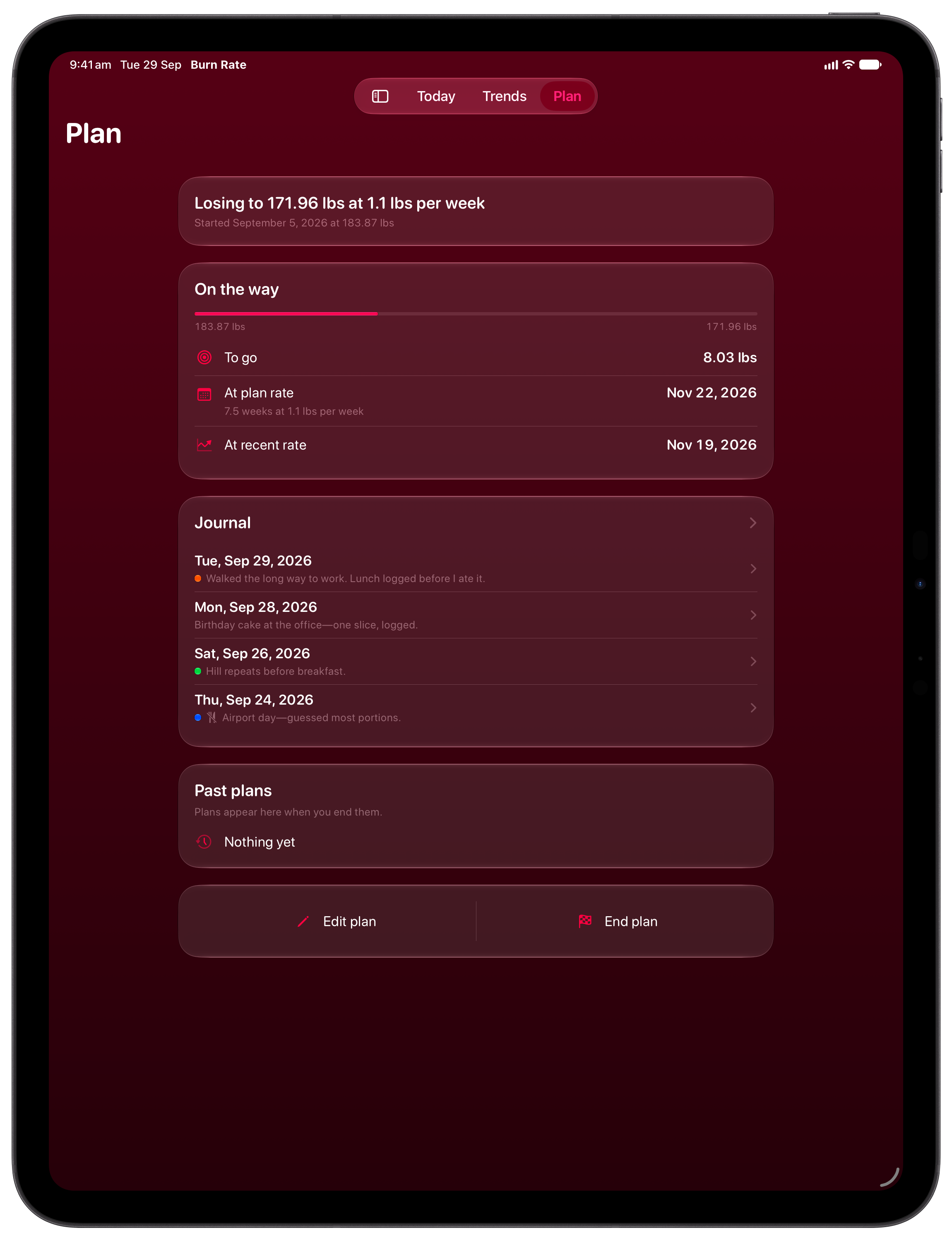 Burn Rate on iPad Pro 13-inch showing Plan in the Pink tint, dark appearance.