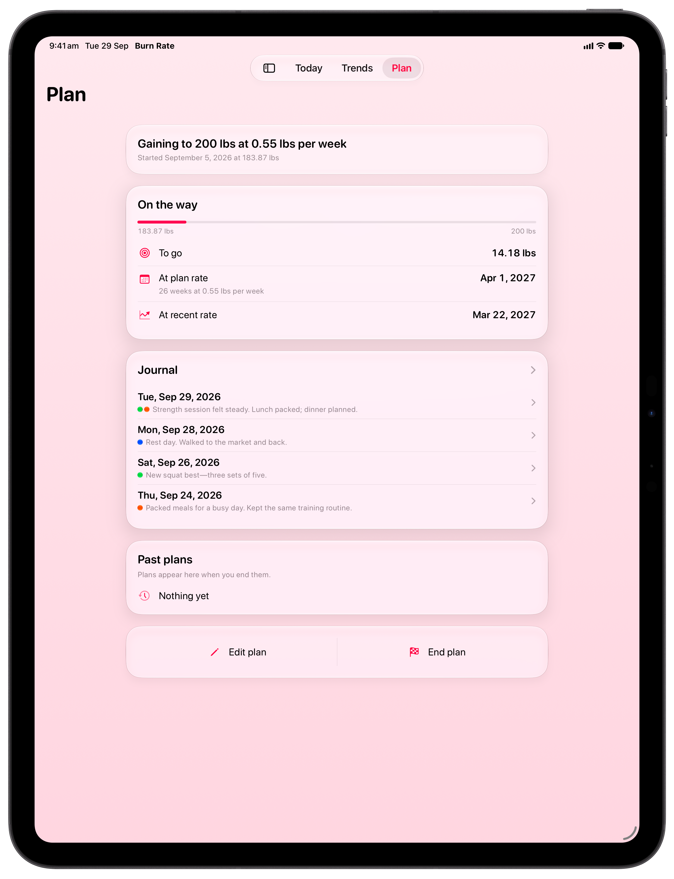 Burn Rate on iPad Pro 13-inch showing Plan in the Pink tint, light appearance.