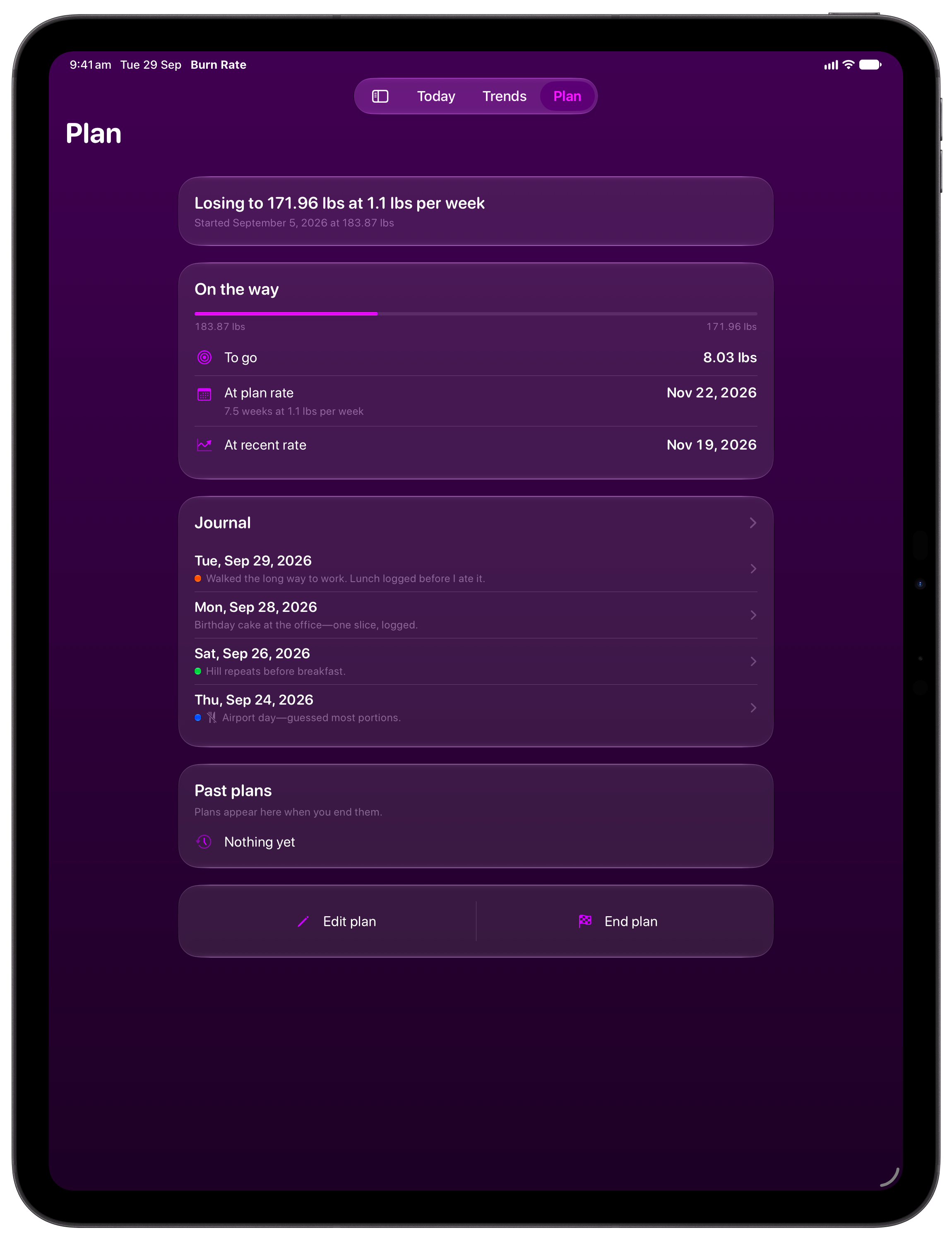 Burn Rate on iPad Pro 13-inch showing Plan in the Purple tint, dark appearance.