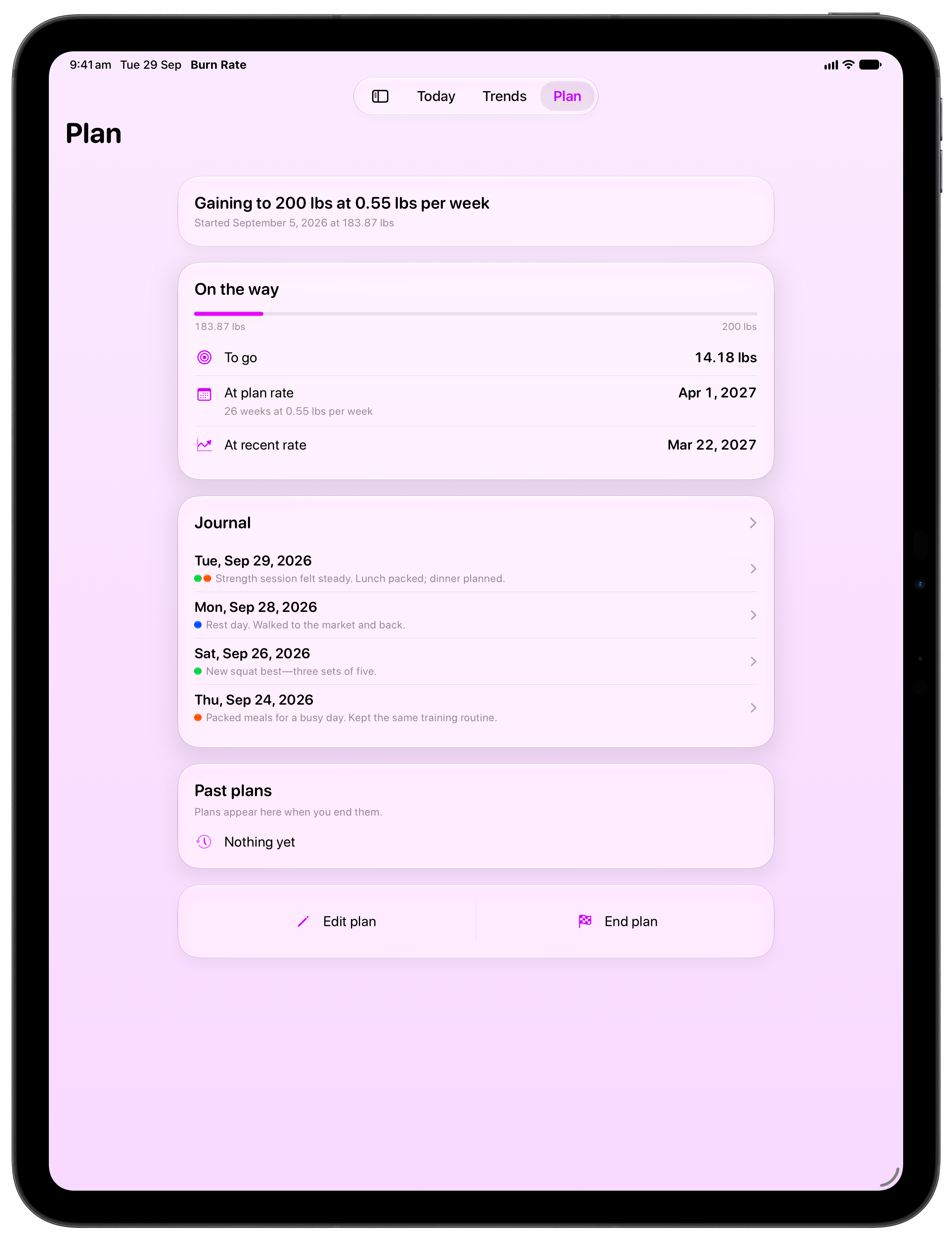 Burn Rate on iPad Pro 13-inch showing Plan in the Purple tint, light appearance.