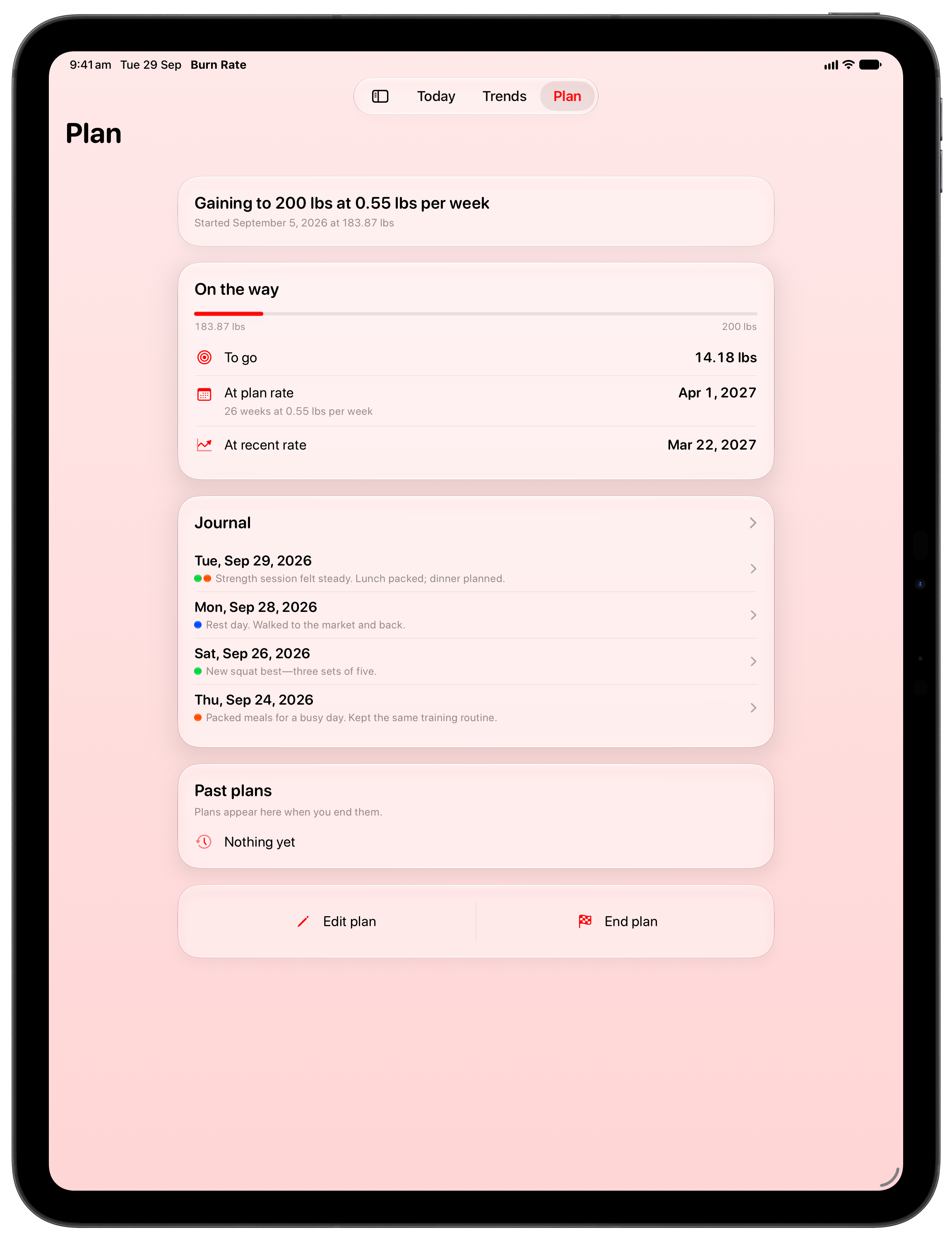 Burn Rate on iPad Pro 13-inch showing Plan in the Red tint, light appearance.