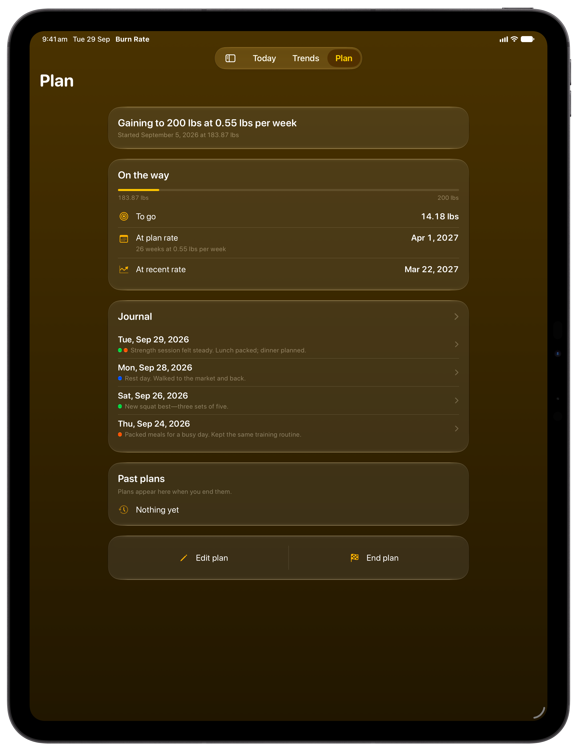 Burn Rate on iPad Pro 13-inch showing Plan in the Yellow tint, dark appearance.