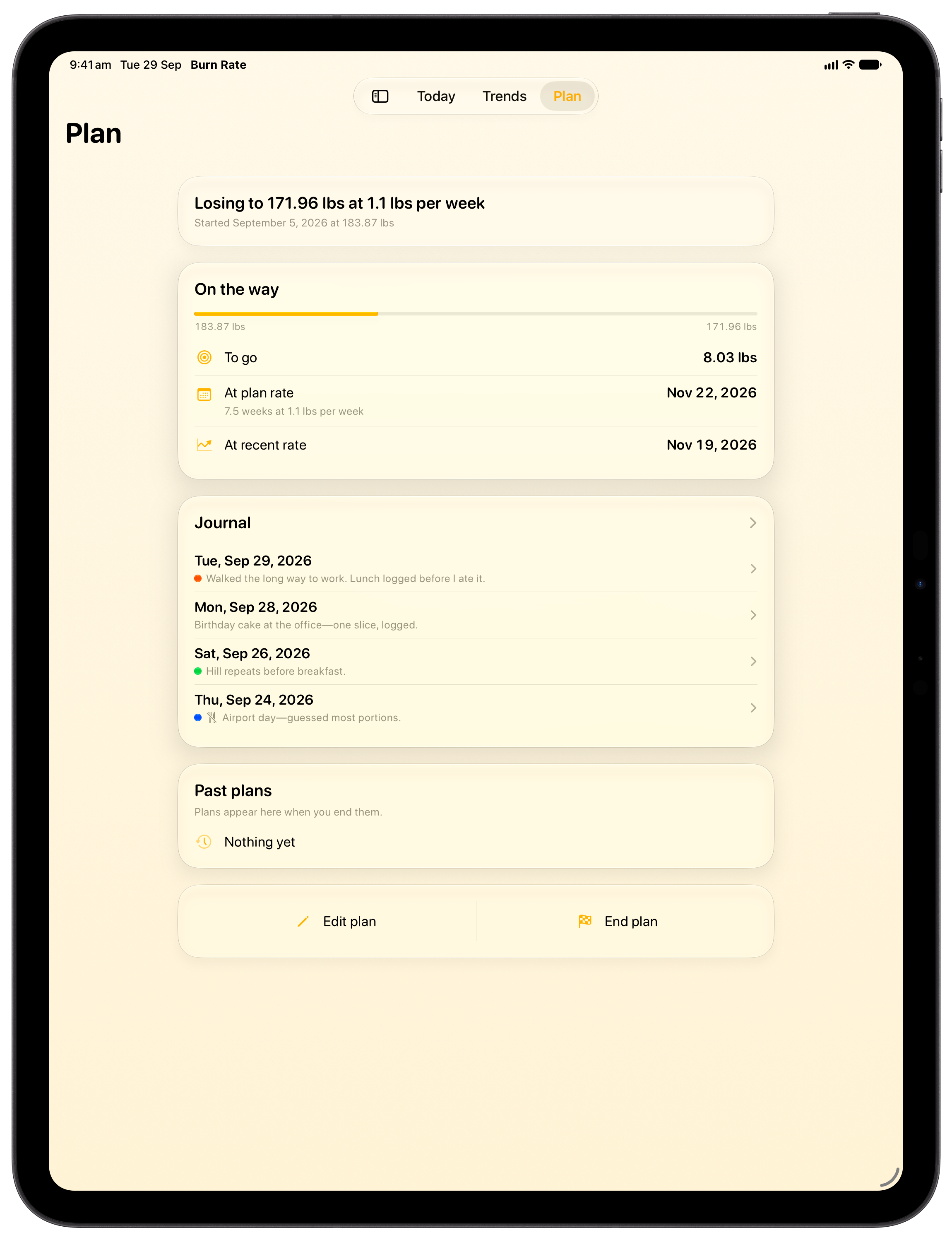 Burn Rate on iPad Pro 13-inch showing Plan in the Yellow tint, light appearance.