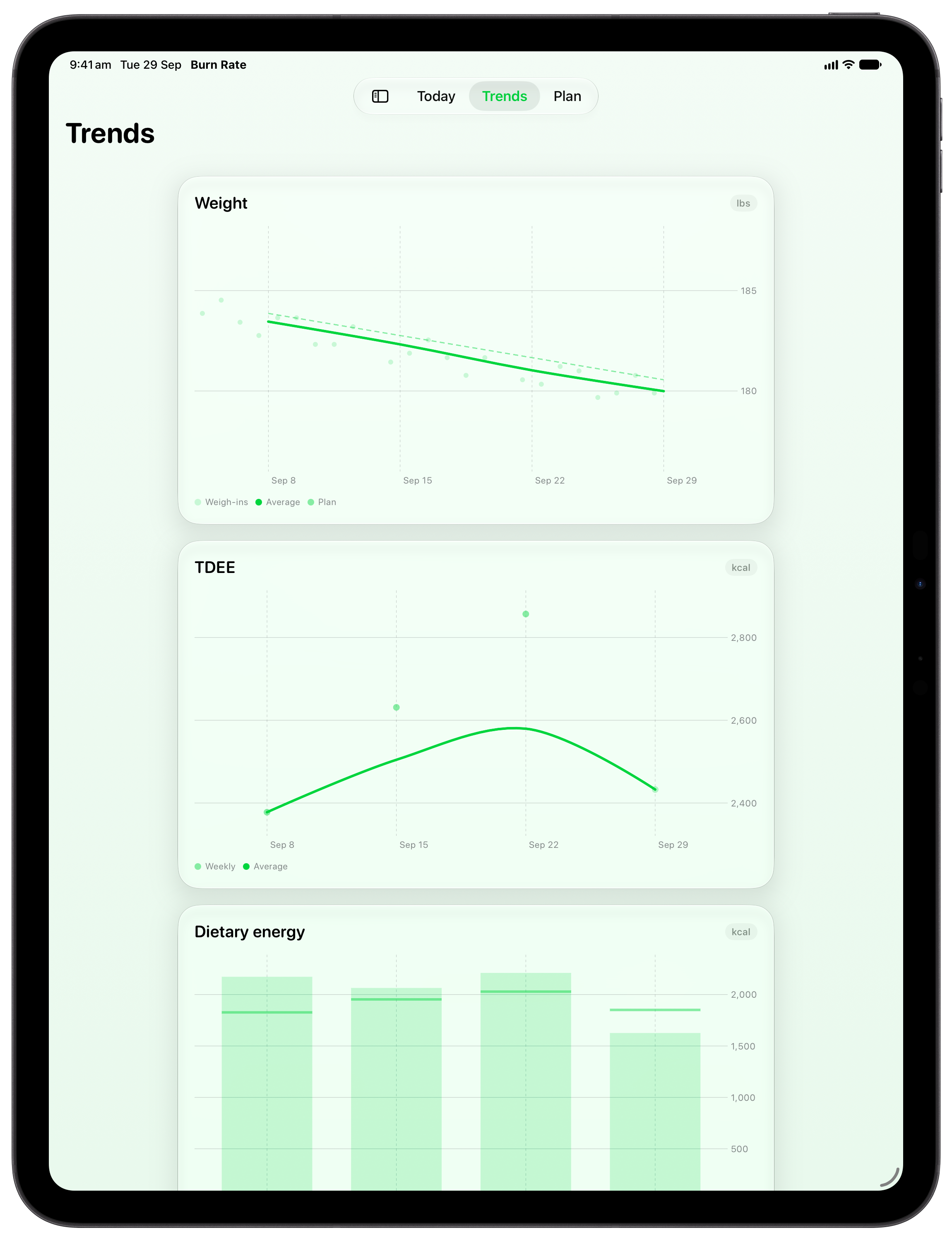 Burn Rate on iPad Pro 13-inch showing Trends in the Green tint, light appearance.