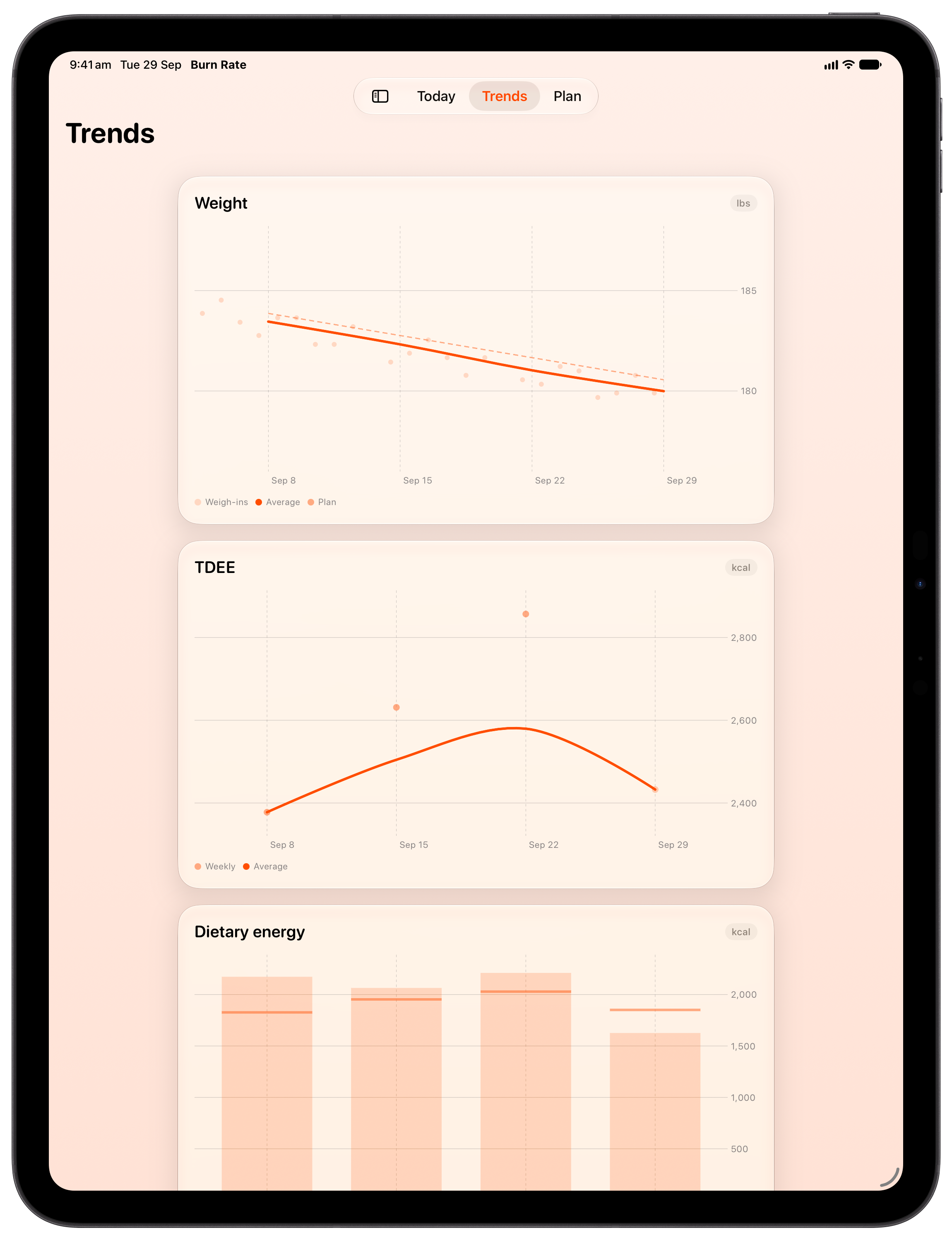 Burn Rate on iPad Pro 13-inch showing Trends in the Orange tint, light appearance.