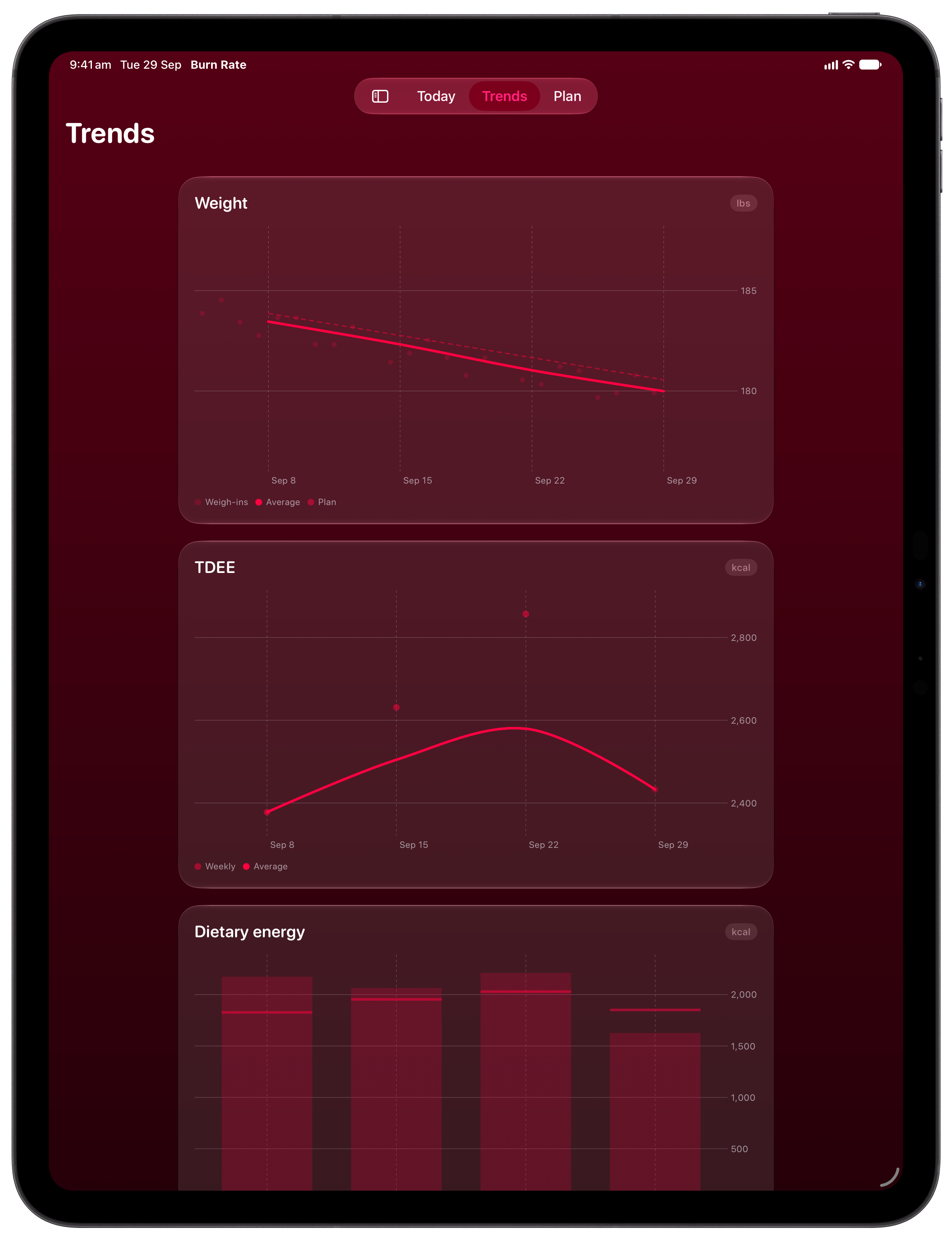 Burn Rate on iPad Pro 13-inch showing Trends in the Pink tint, dark appearance.
