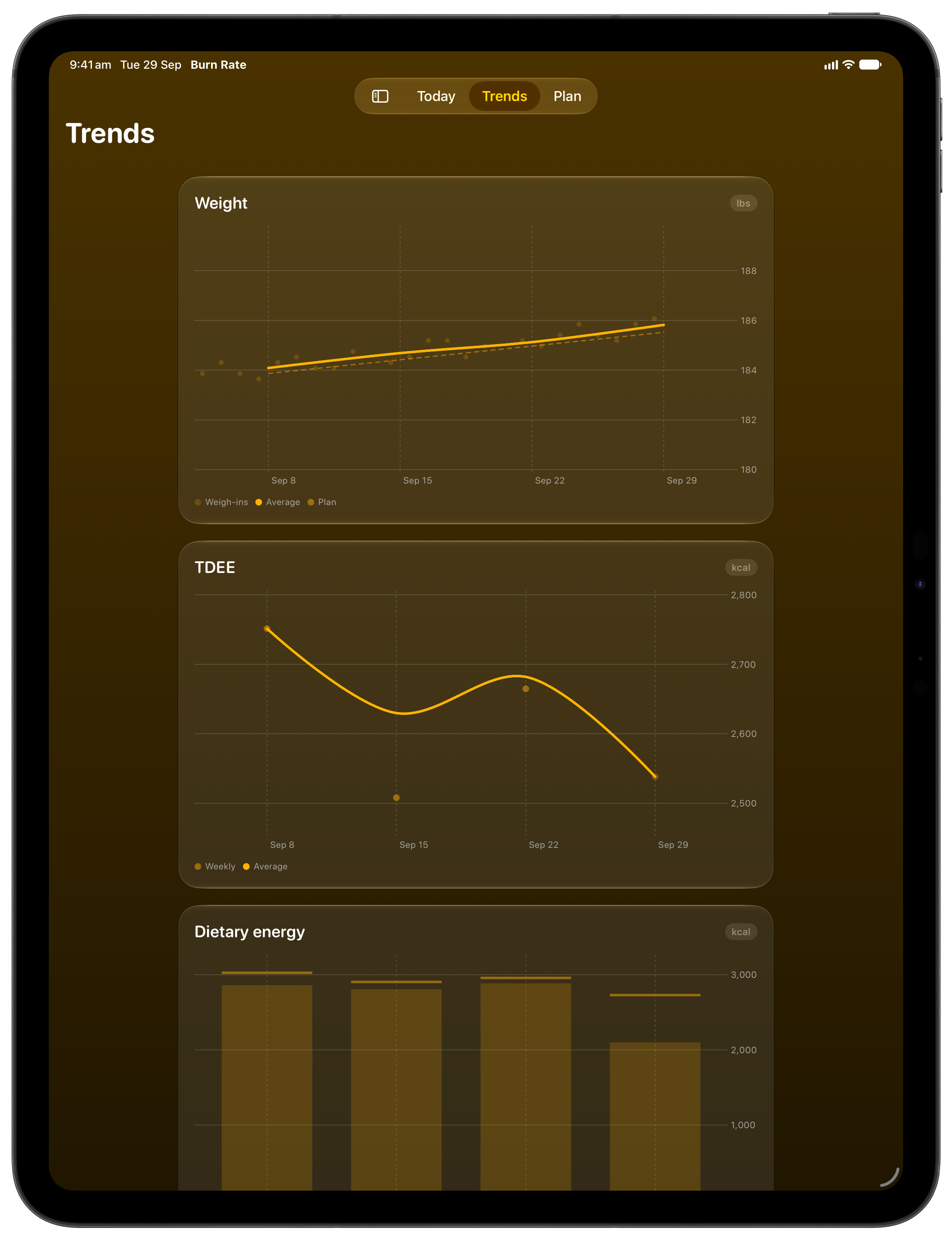 Burn Rate on iPad Pro 13-inch showing Trends in the Yellow tint, dark appearance.