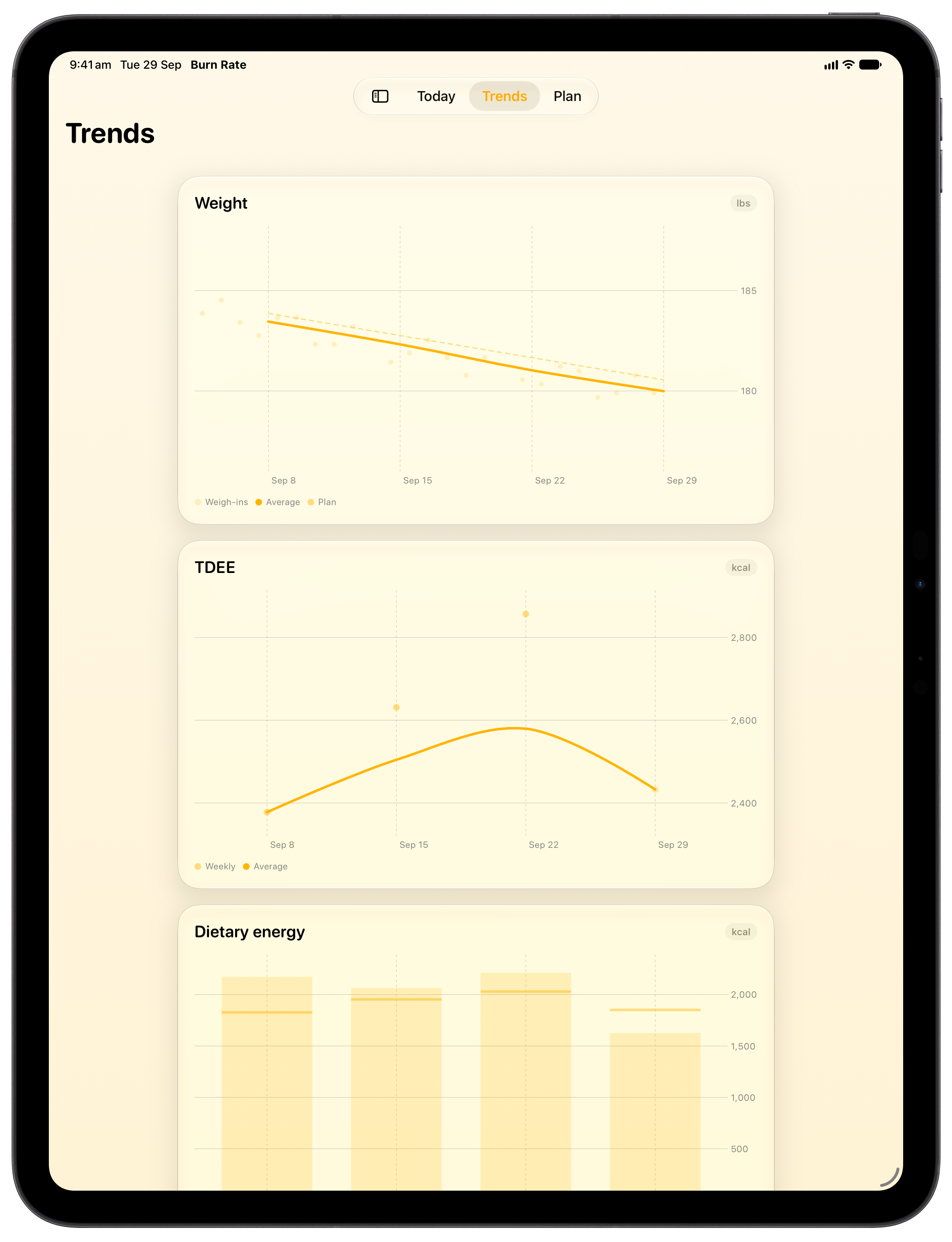 Burn Rate on iPad Pro 13-inch showing Trends in the Yellow tint, light appearance.