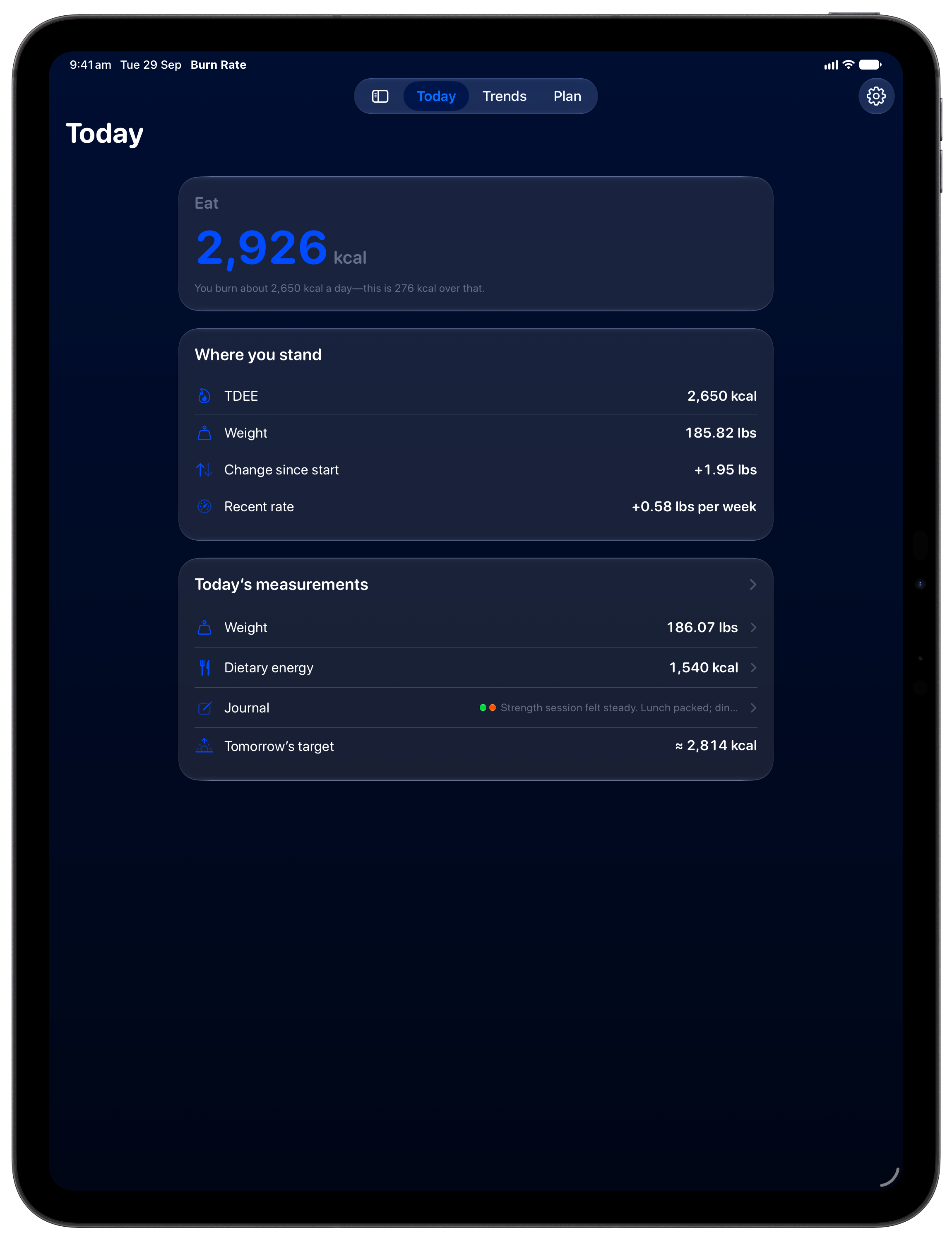 Burn Rate on iPad Pro 13-inch showing Home in the Blue tint, dark appearance.