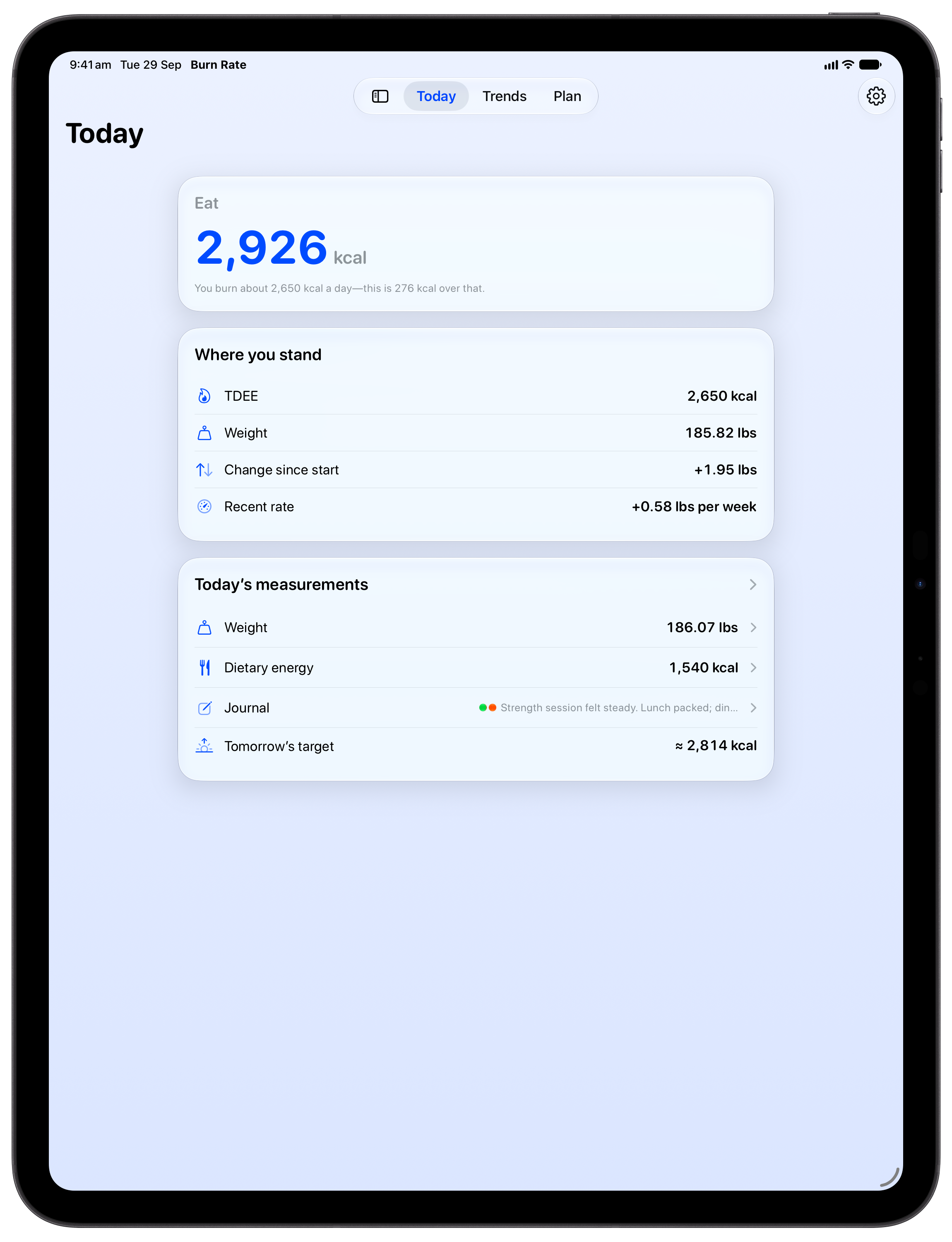 Burn Rate on iPad Pro 13-inch showing Home in the Blue tint, light appearance.