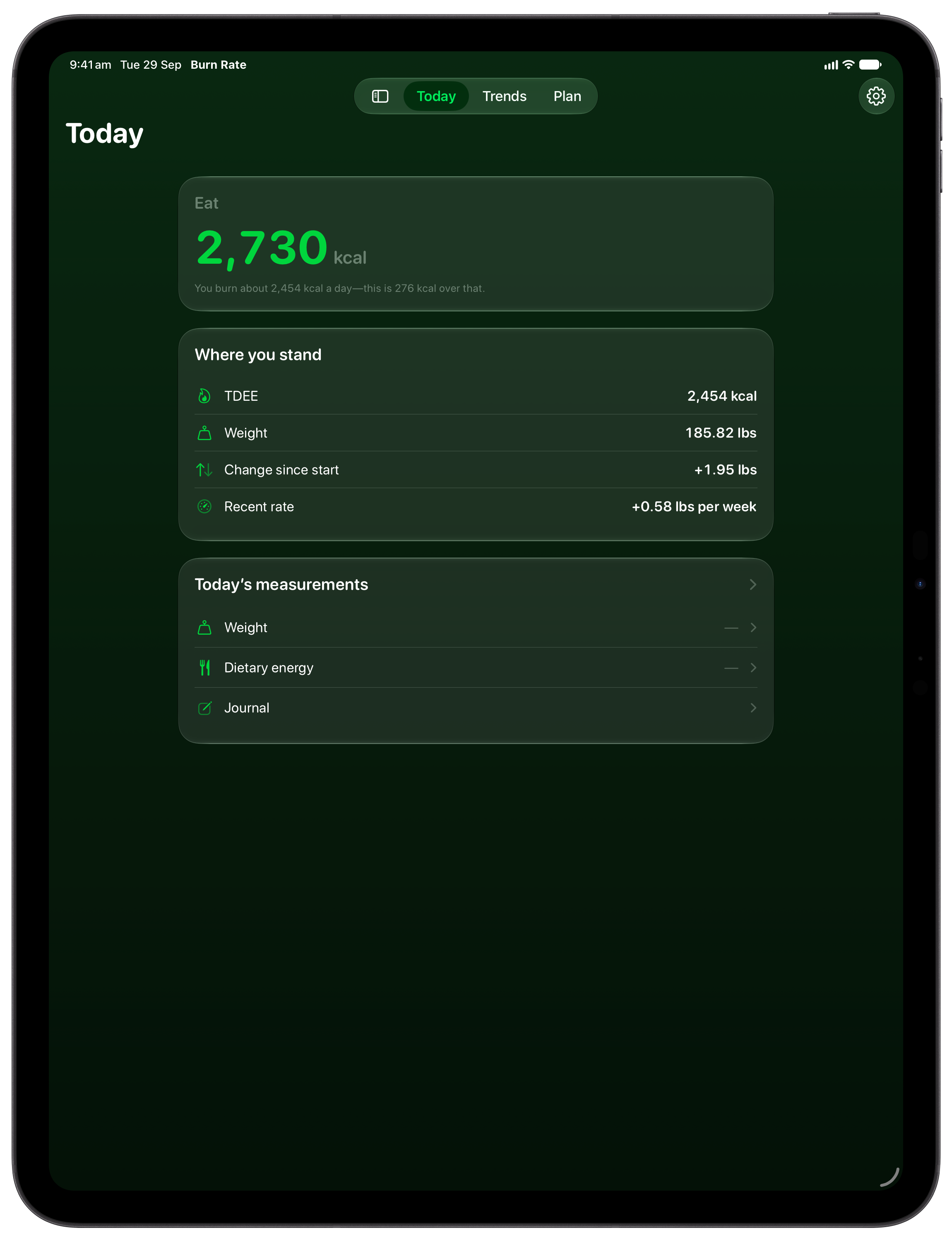 Burn Rate on iPad Pro 13-inch showing Home in the Green tint, dark appearance.