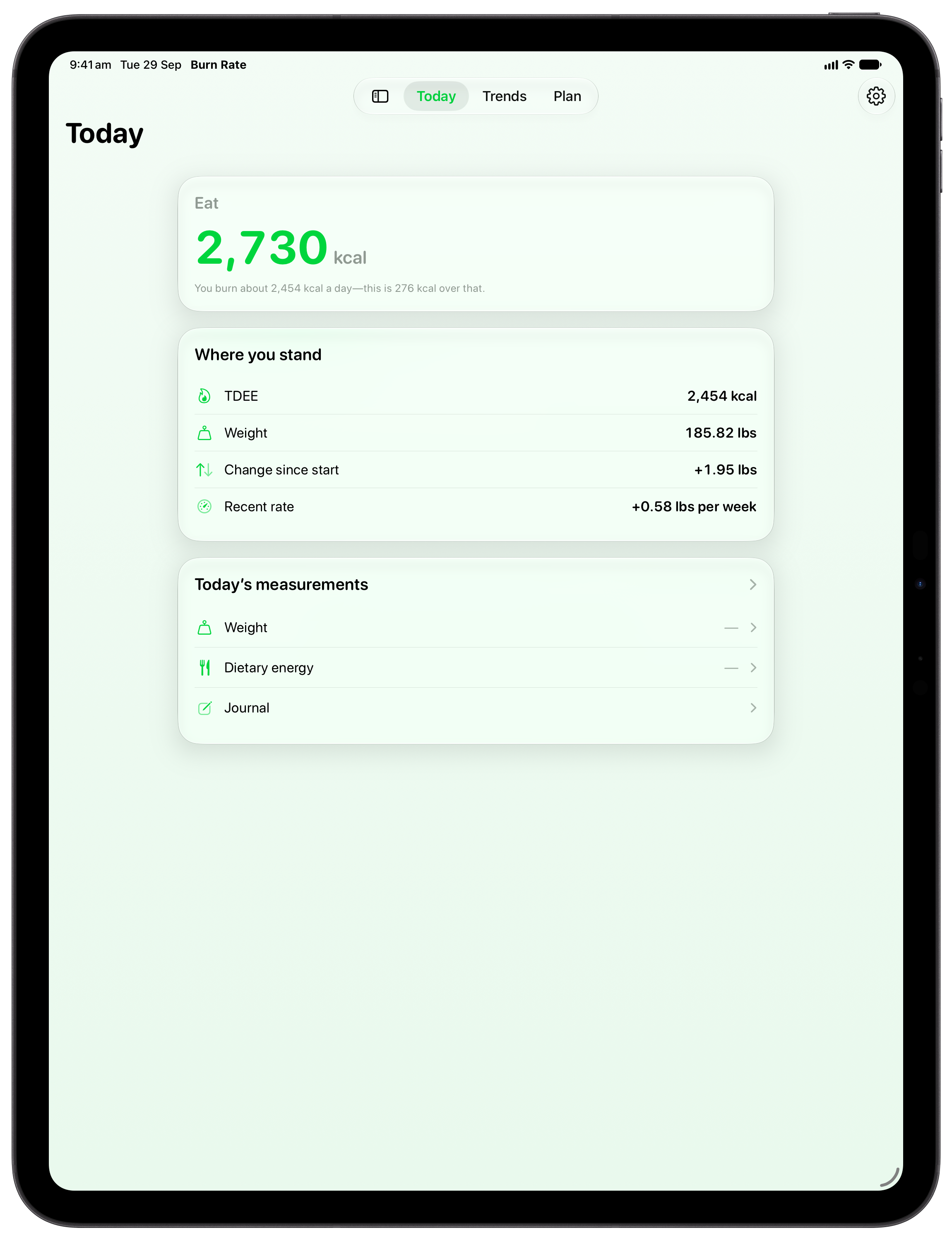 Burn Rate on iPad Pro 13-inch showing Home in the Green tint, light appearance.