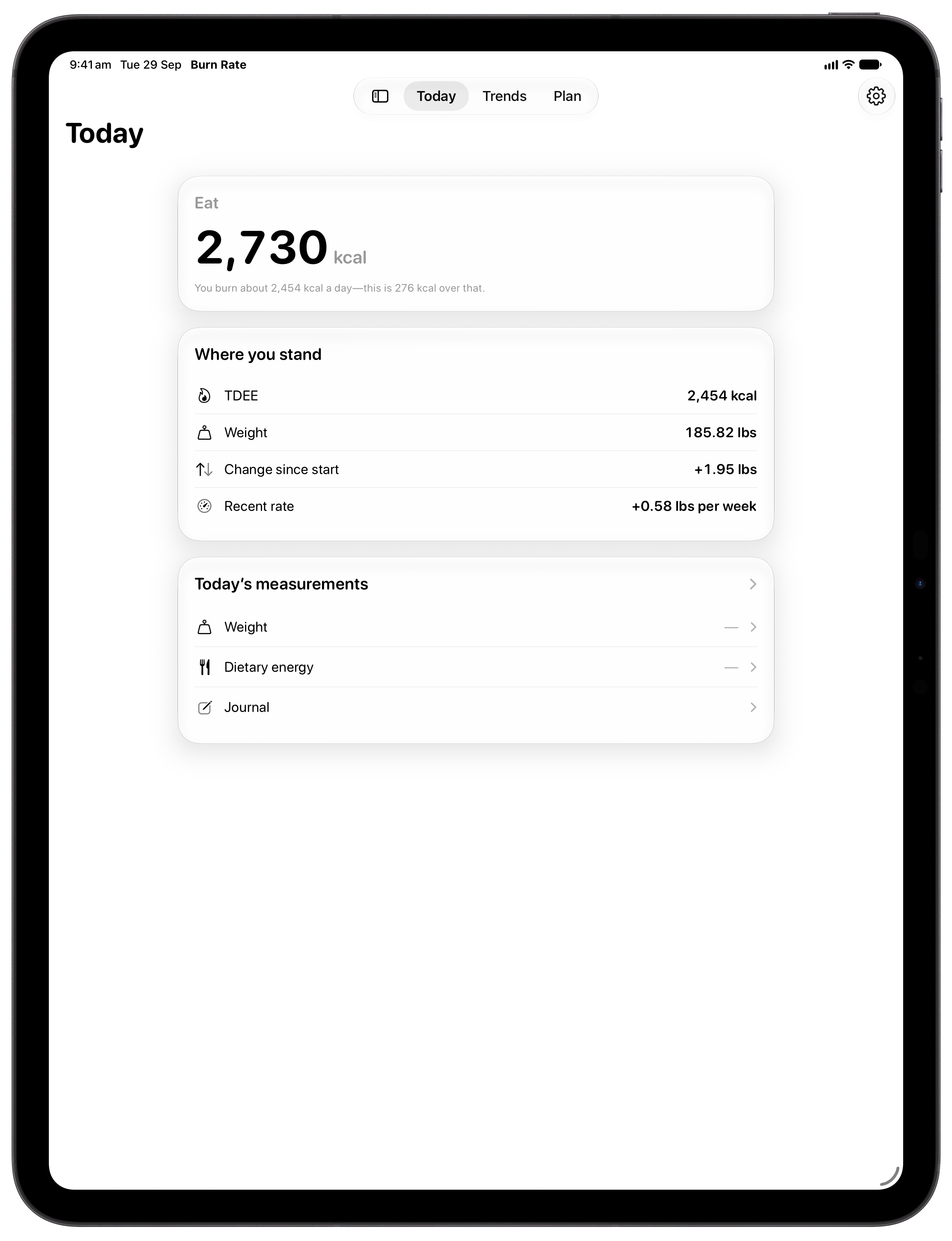 Burn Rate on iPad Pro 13-inch showing Home in the Grey tint, light appearance.