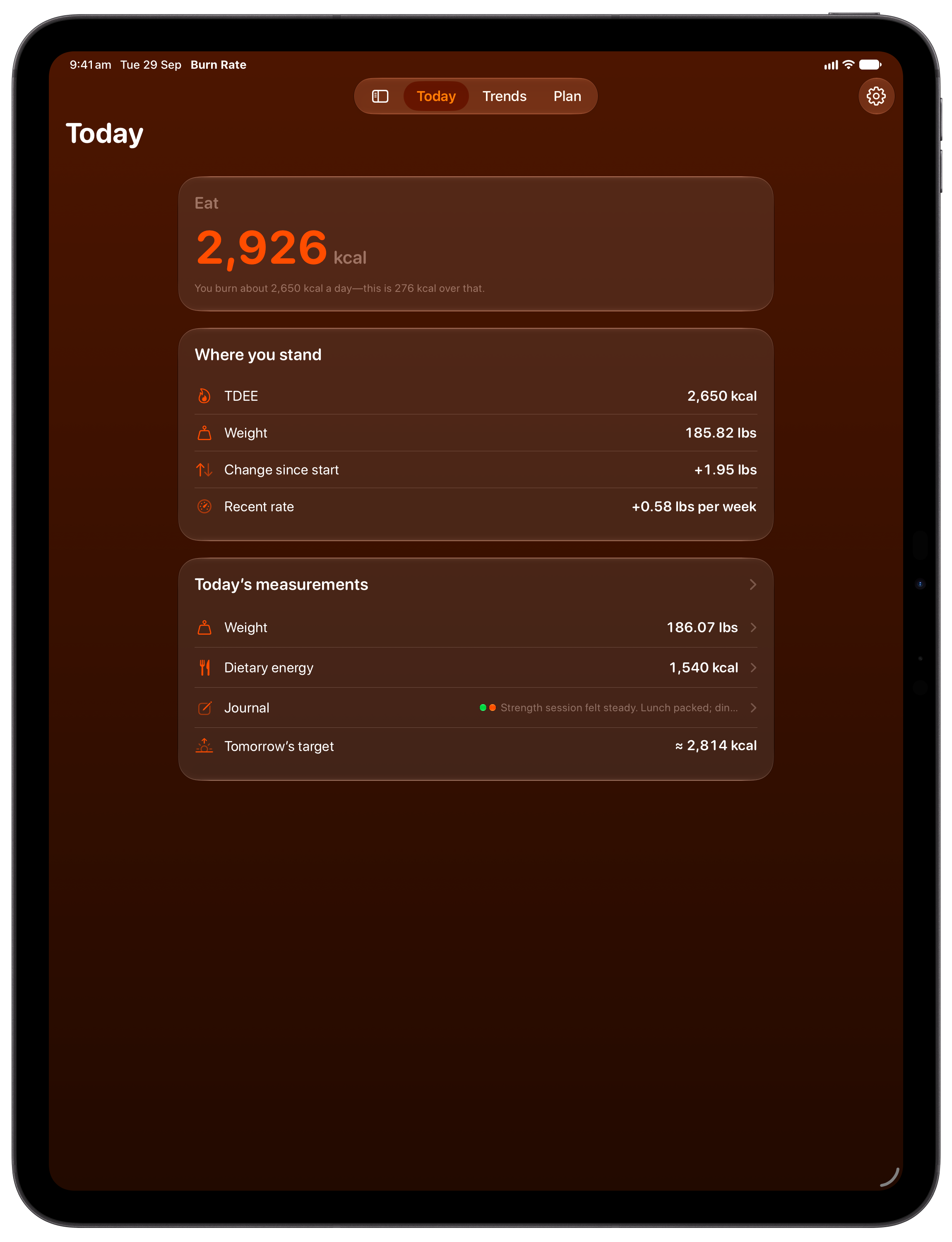 Burn Rate on iPad Pro 13-inch showing Home in the Orange tint, dark appearance.