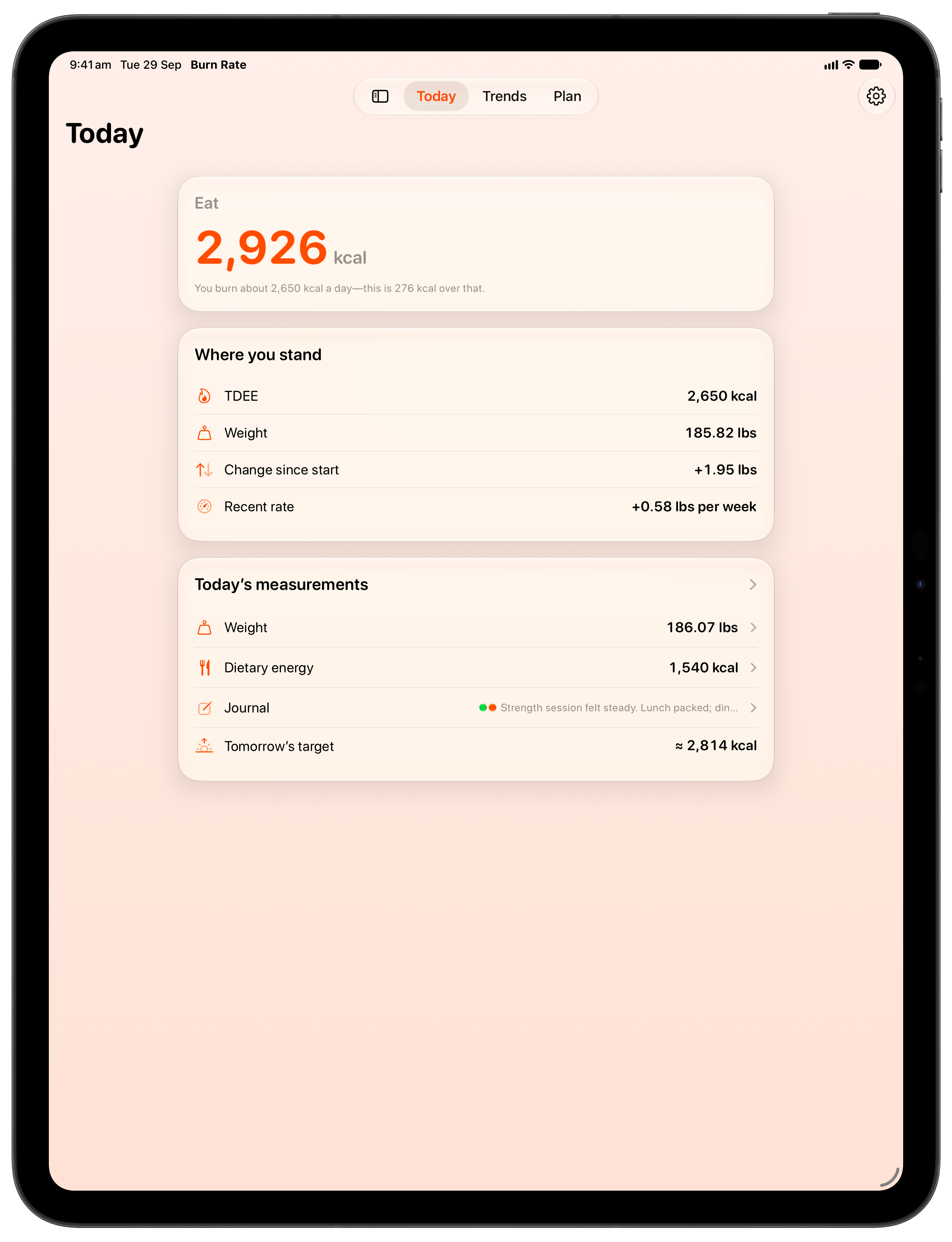 Burn Rate on iPad Pro 13-inch showing Home in the Orange tint, light appearance.