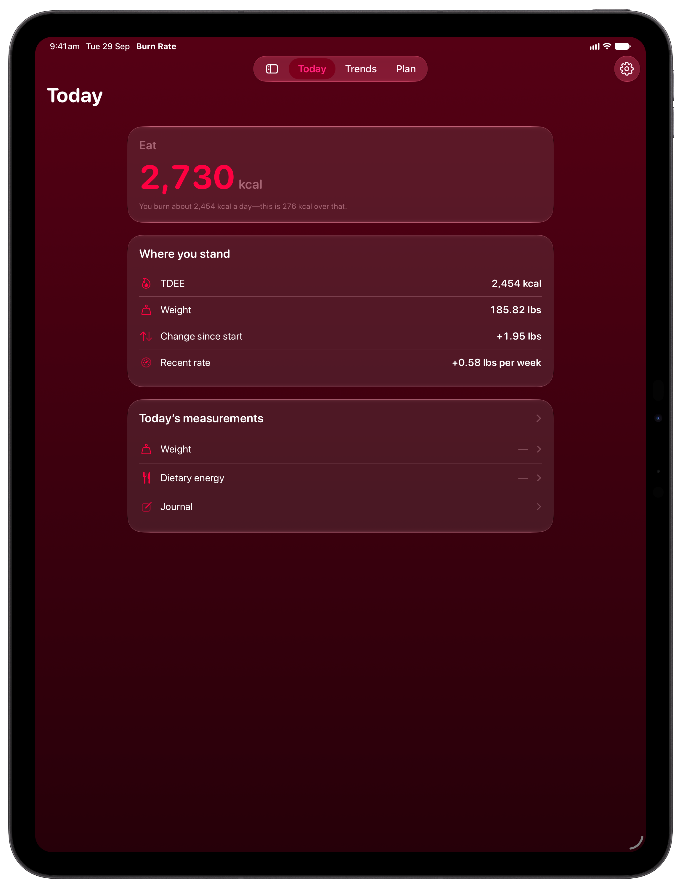 Burn Rate on iPad Pro 13-inch showing Home in the Pink tint, dark appearance.