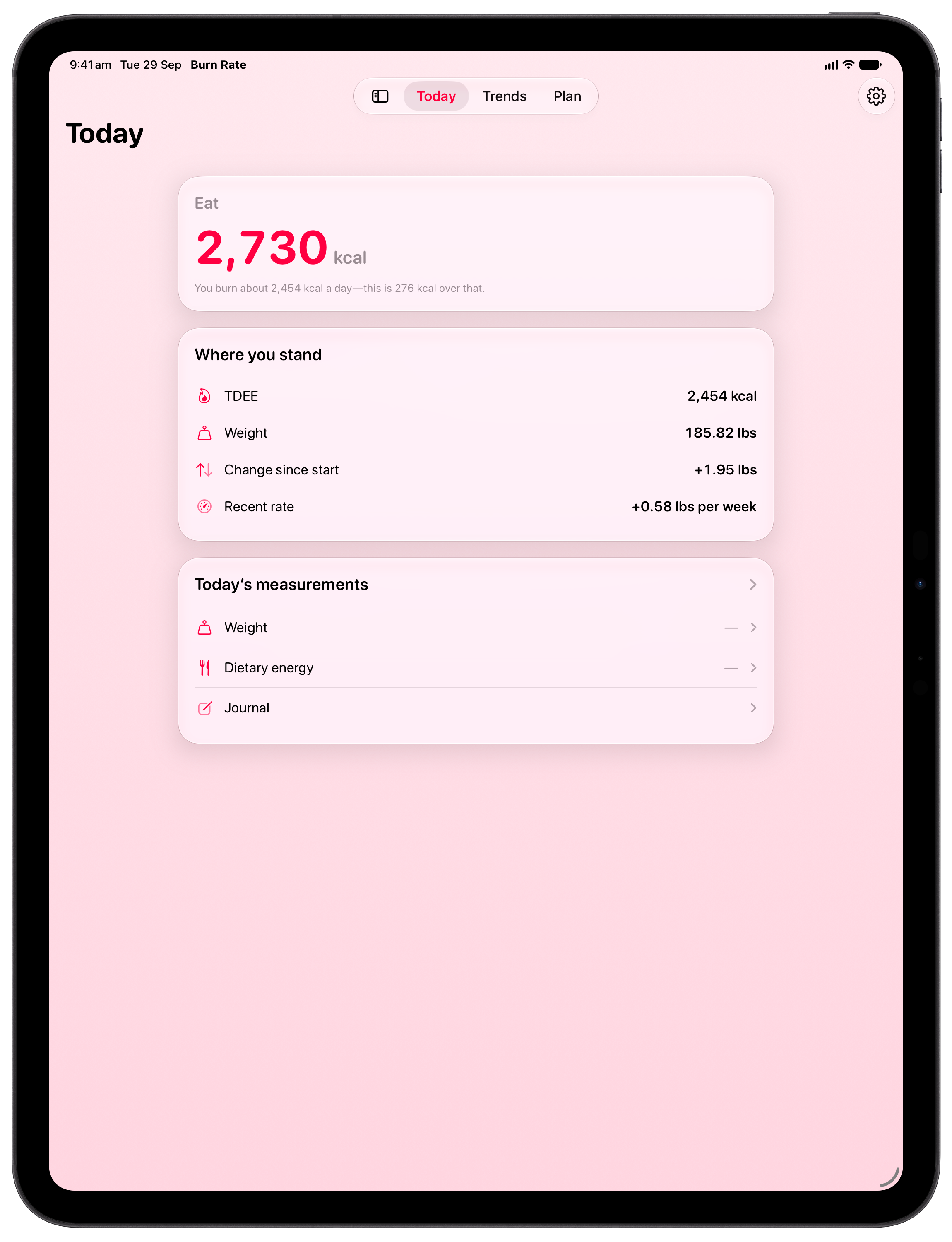 Burn Rate on iPad Pro 13-inch showing Home in the Pink tint, light appearance.