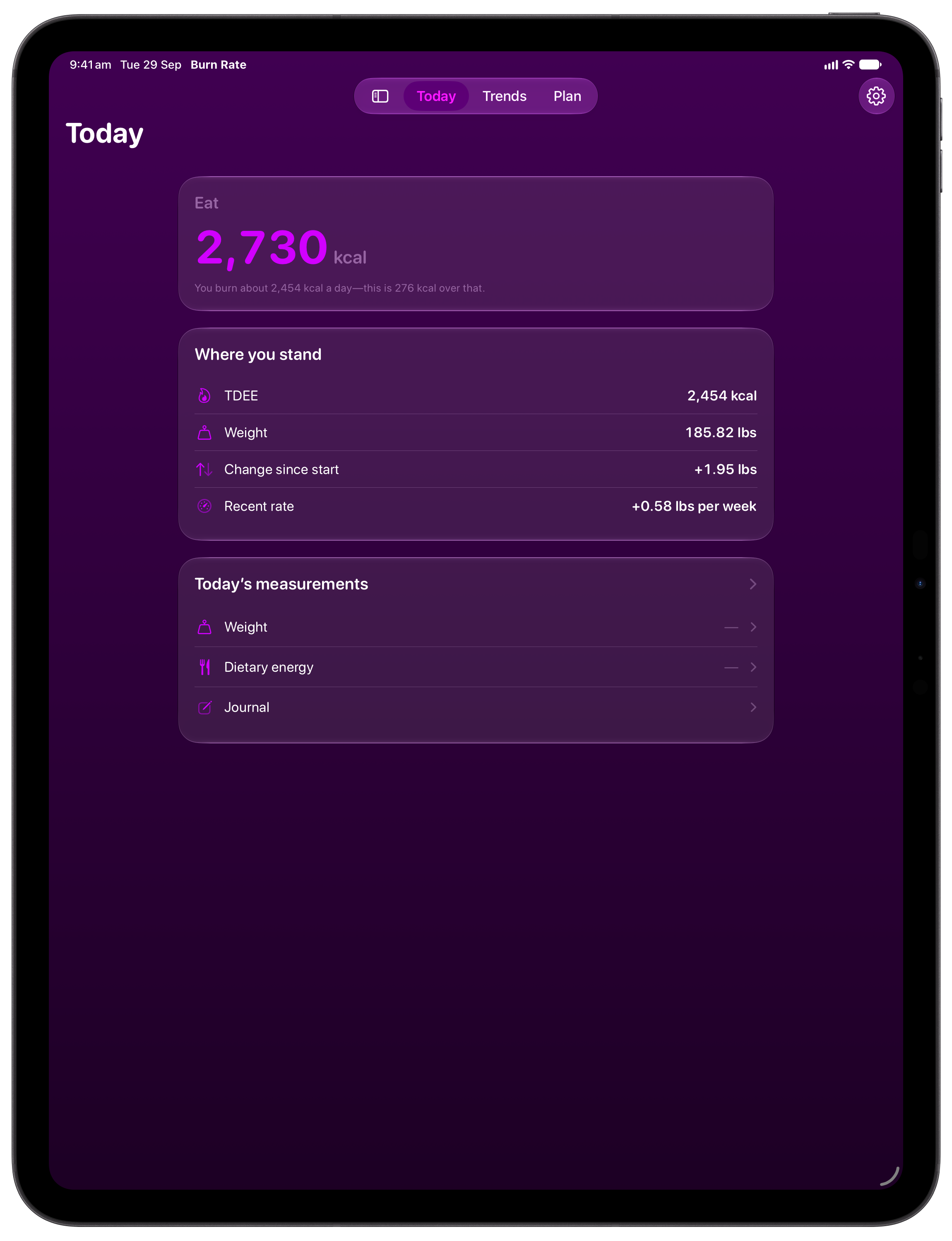Burn Rate on iPad Pro 13-inch showing Home in the Purple tint, dark appearance.