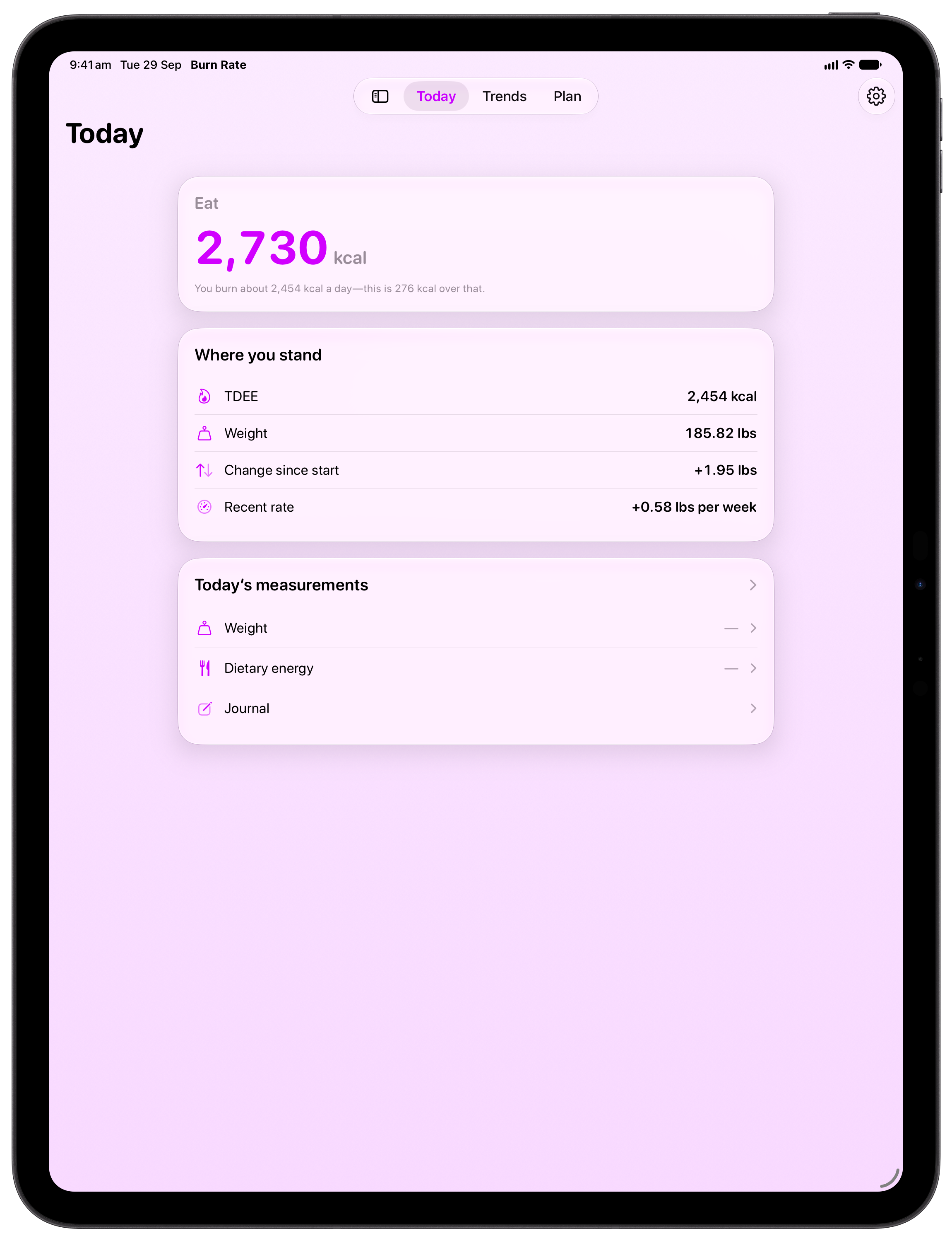 Burn Rate on iPad Pro 13-inch showing Home in the Purple tint, light appearance.