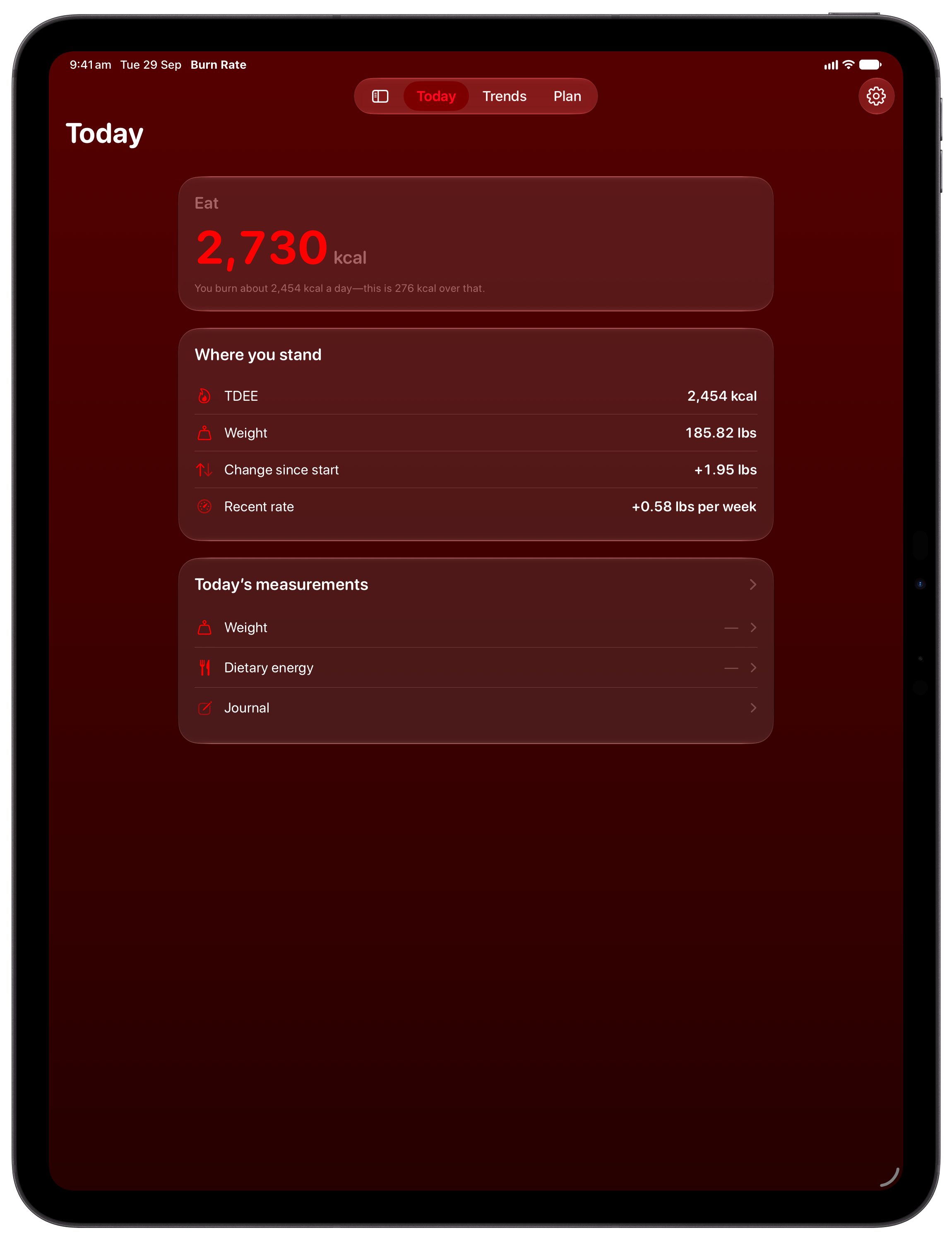 Burn Rate on iPad Pro 13-inch showing Home in the Red tint, dark appearance.