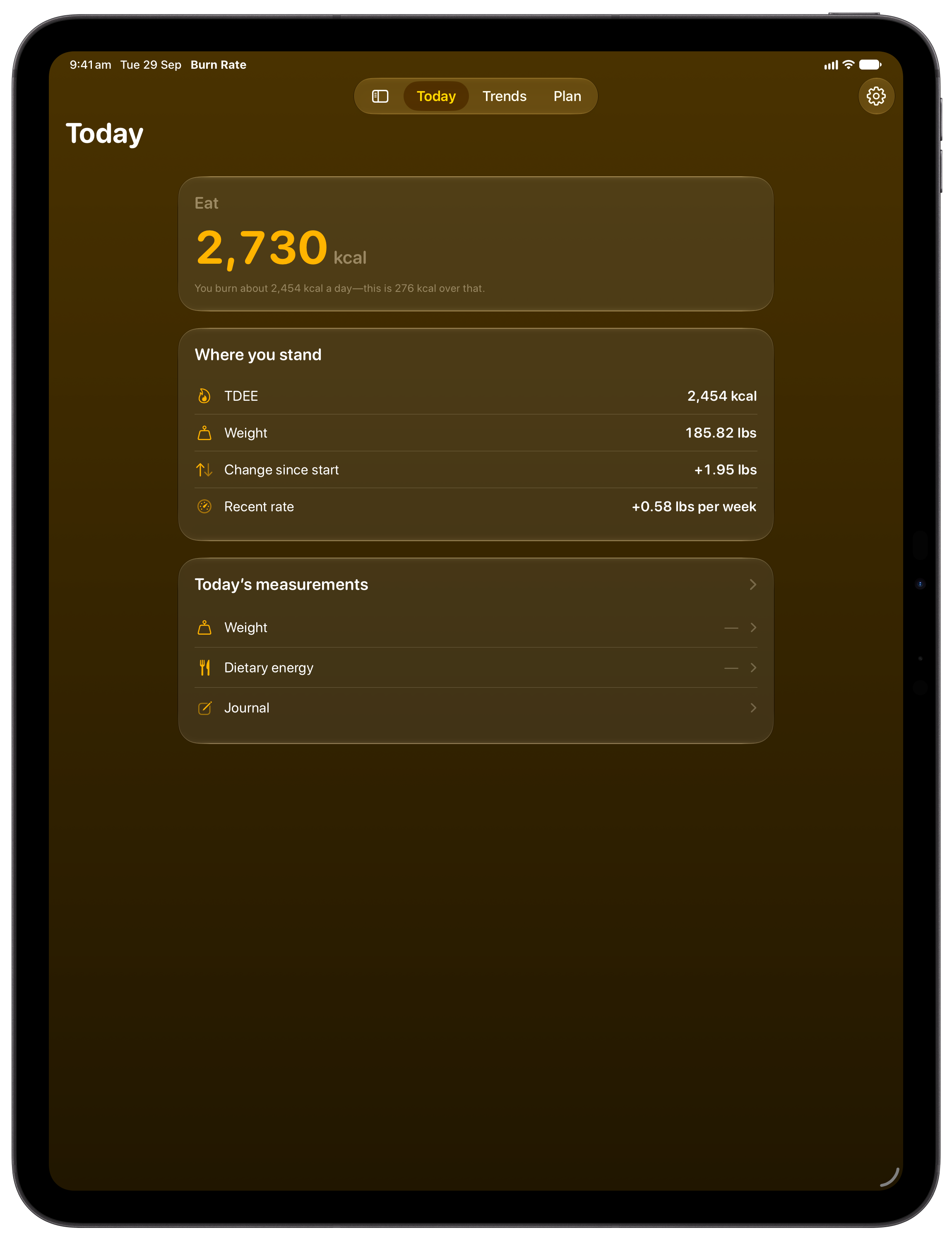 Burn Rate on iPad Pro 13-inch showing Home in the Yellow tint, dark appearance.