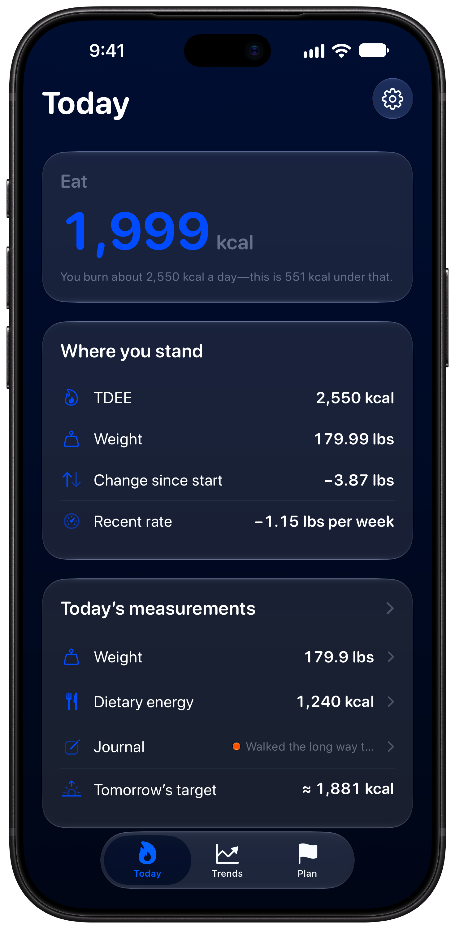 Burn Rate on iPhone 18 Pro Max showing Daily Target in the Blue tint, dark appearance.