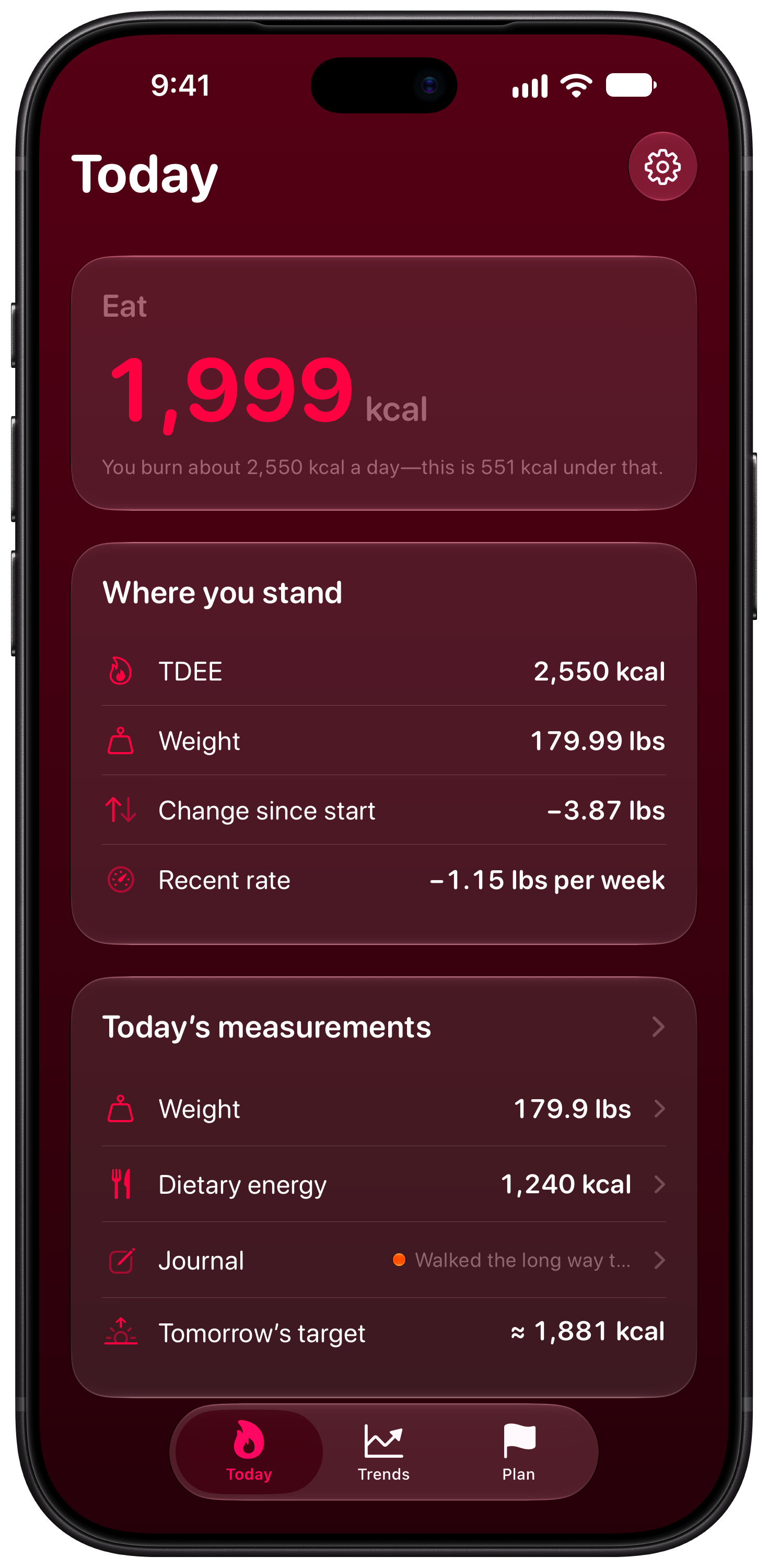 Burn Rate on iPhone 18 Pro Max showing Daily Target in the Pink tint, dark appearance.