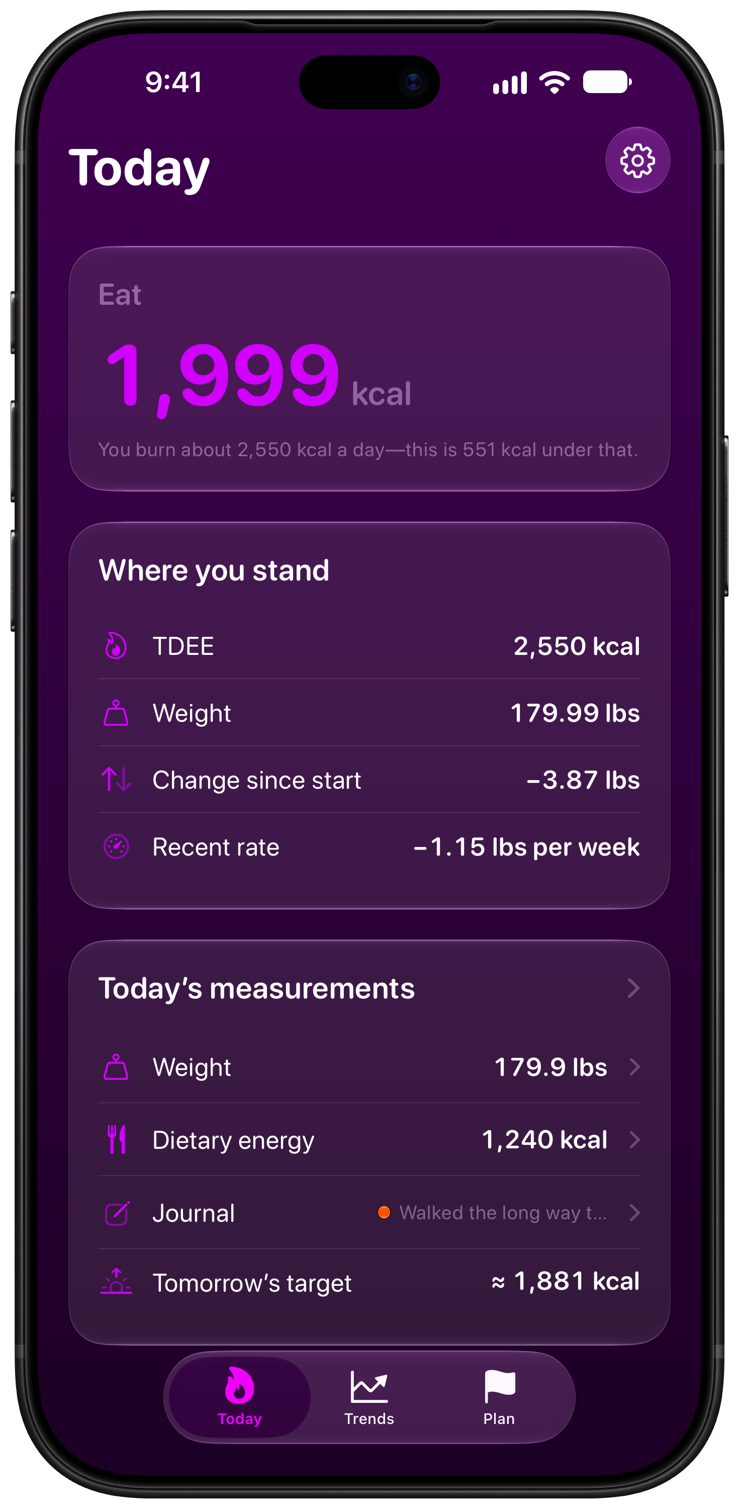 Burn Rate on iPhone 18 Pro Max showing Daily Target in the Purple tint, dark appearance.