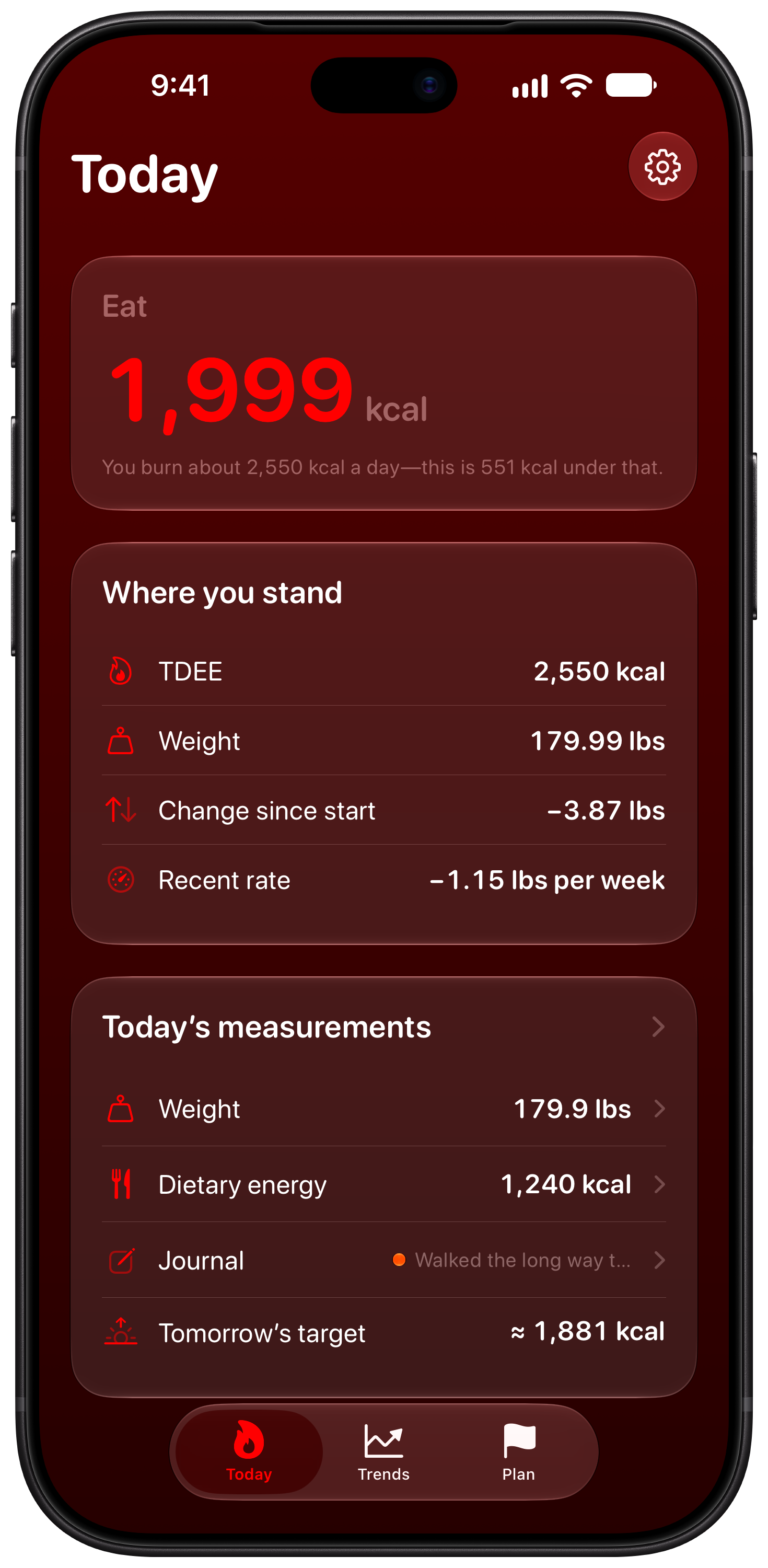 Burn Rate on iPhone 18 Pro Max showing Daily Target in the Red tint, dark appearance.