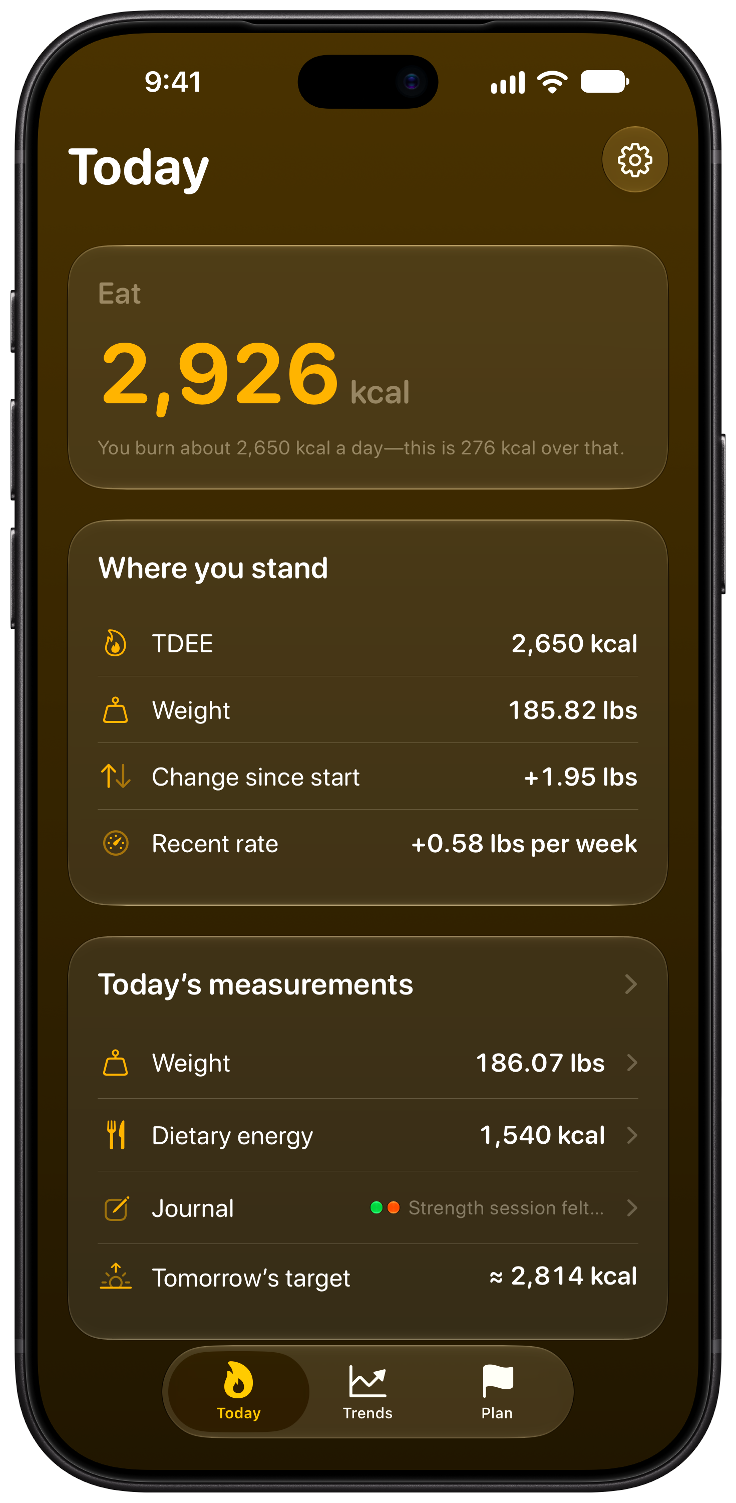 Burn Rate on iPhone 18 Pro Max showing Daily Target in the Yellow tint, dark appearance.