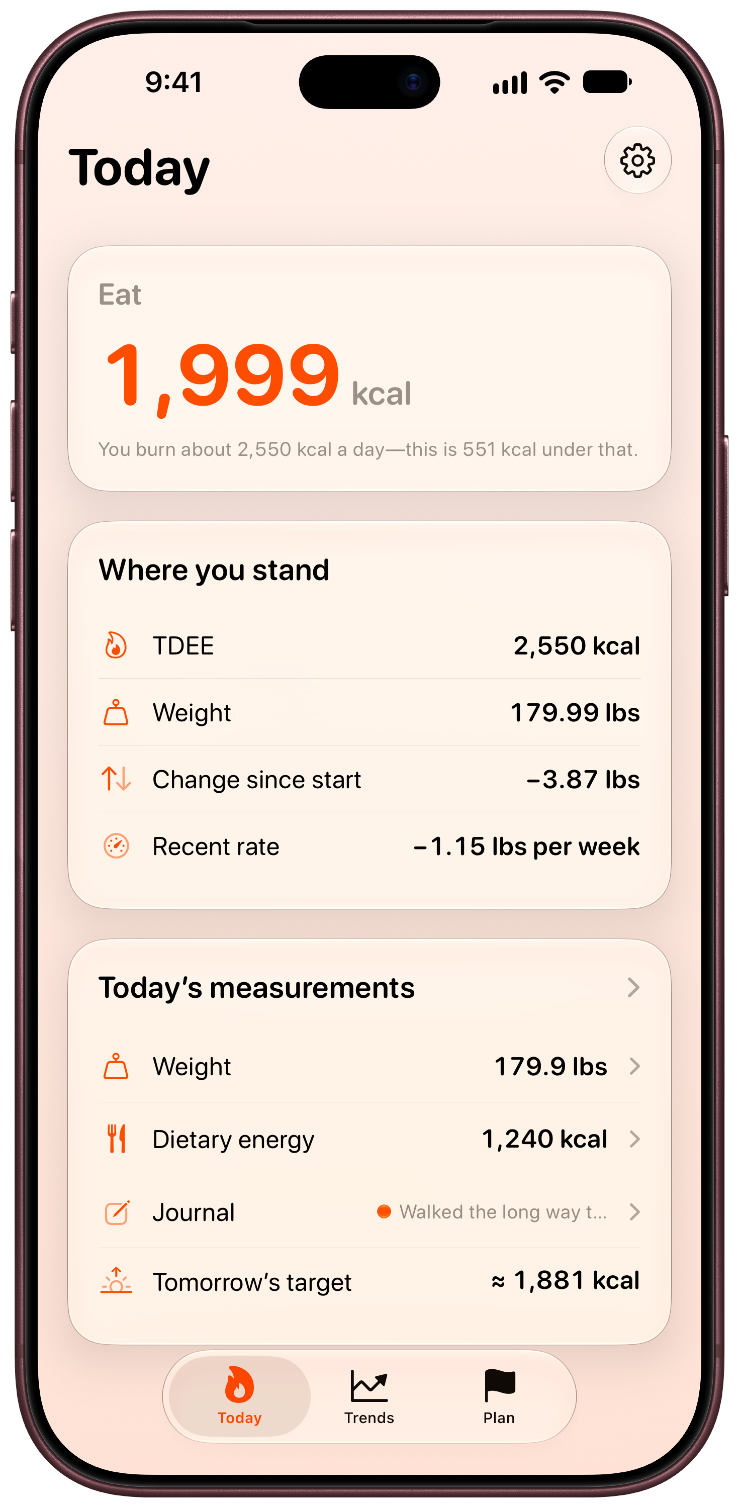 Burn Rate on iPhone 18 Pro Max showing Daily Target in the Orange tint, light appearance.