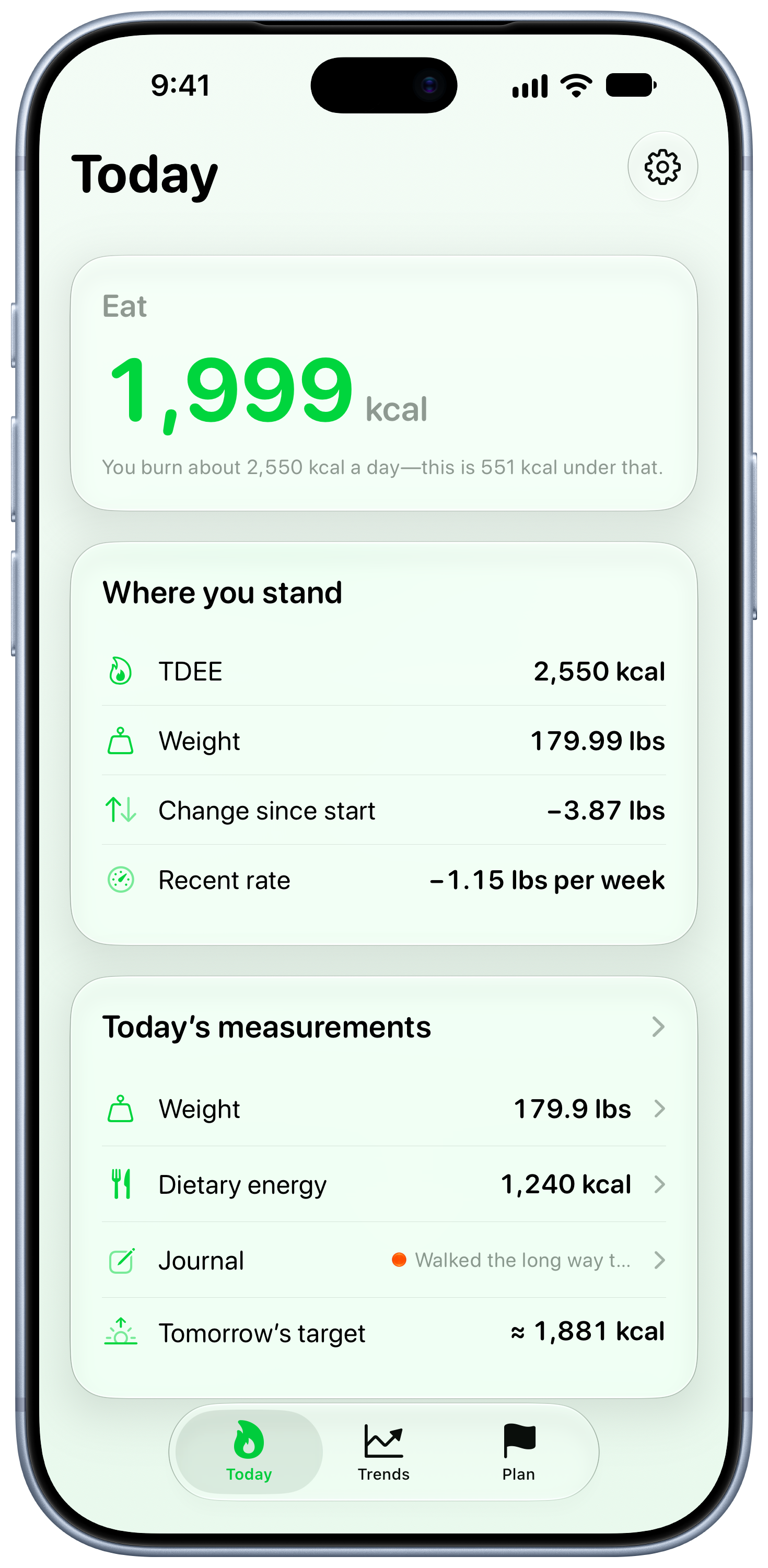 Burn Rate on iPhone 18 Pro Max showing Daily Target in the Green tint, light appearance.