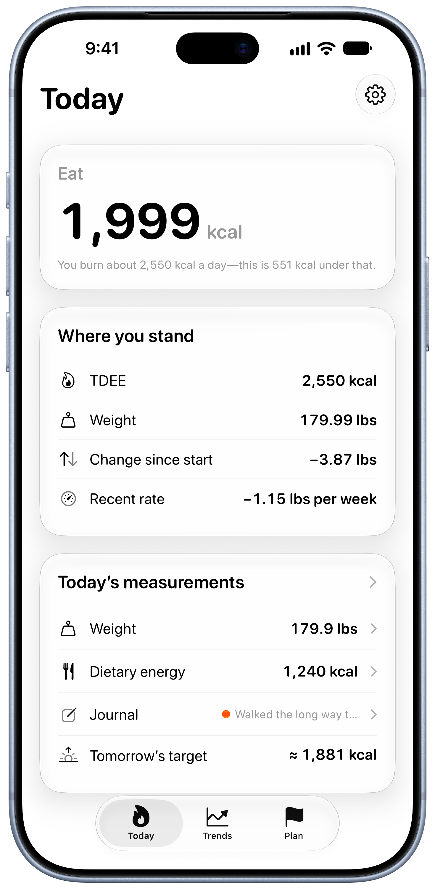 Burn Rate on iPhone 18 Pro Max showing Daily Target in the Grey tint, light appearance.