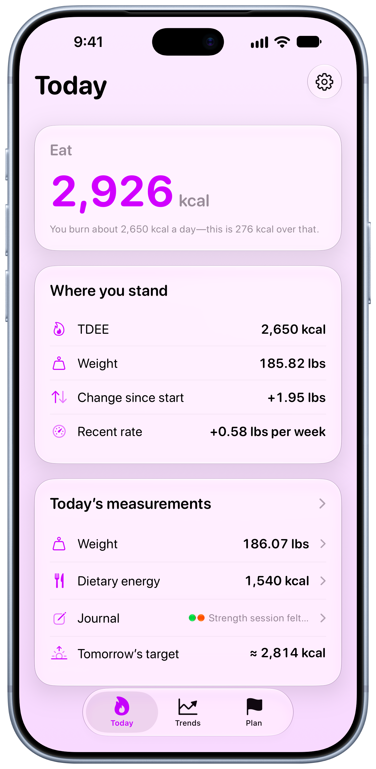 Burn Rate on iPhone 18 Pro Max showing Daily Target in the Purple tint, light appearance.