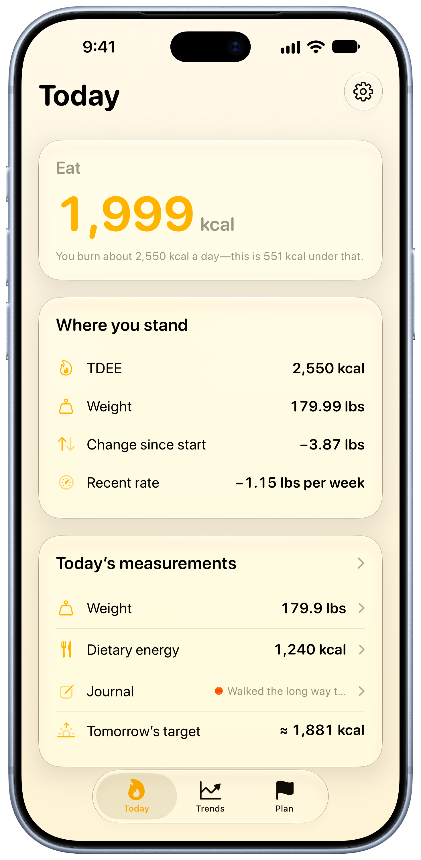 Burn Rate on iPhone 18 Pro Max showing Daily Target in the Yellow tint, light appearance.