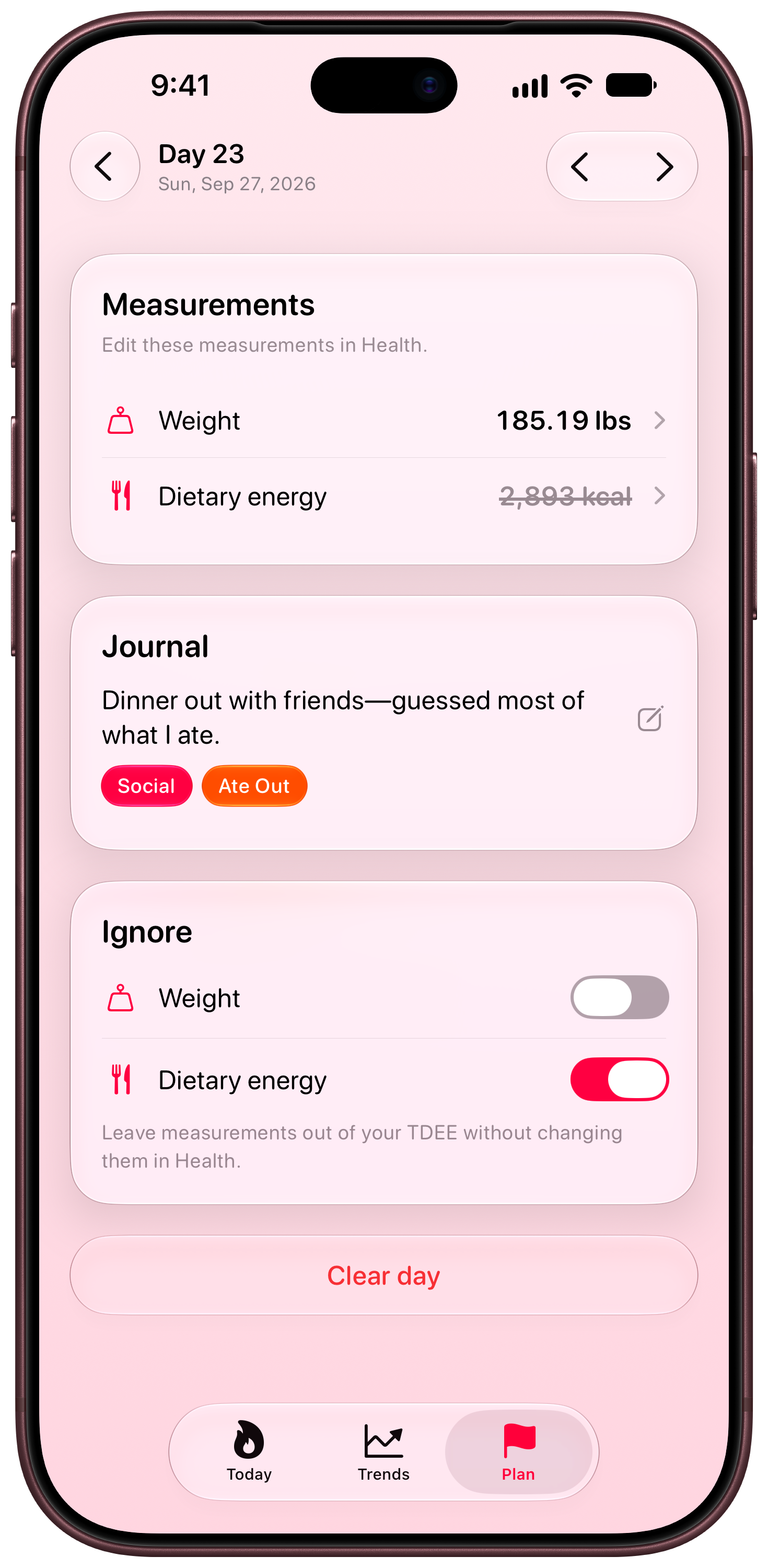 Burn Rate on iPhone 18 Pro Max showing Day Detail in the Pink tint, light appearance.