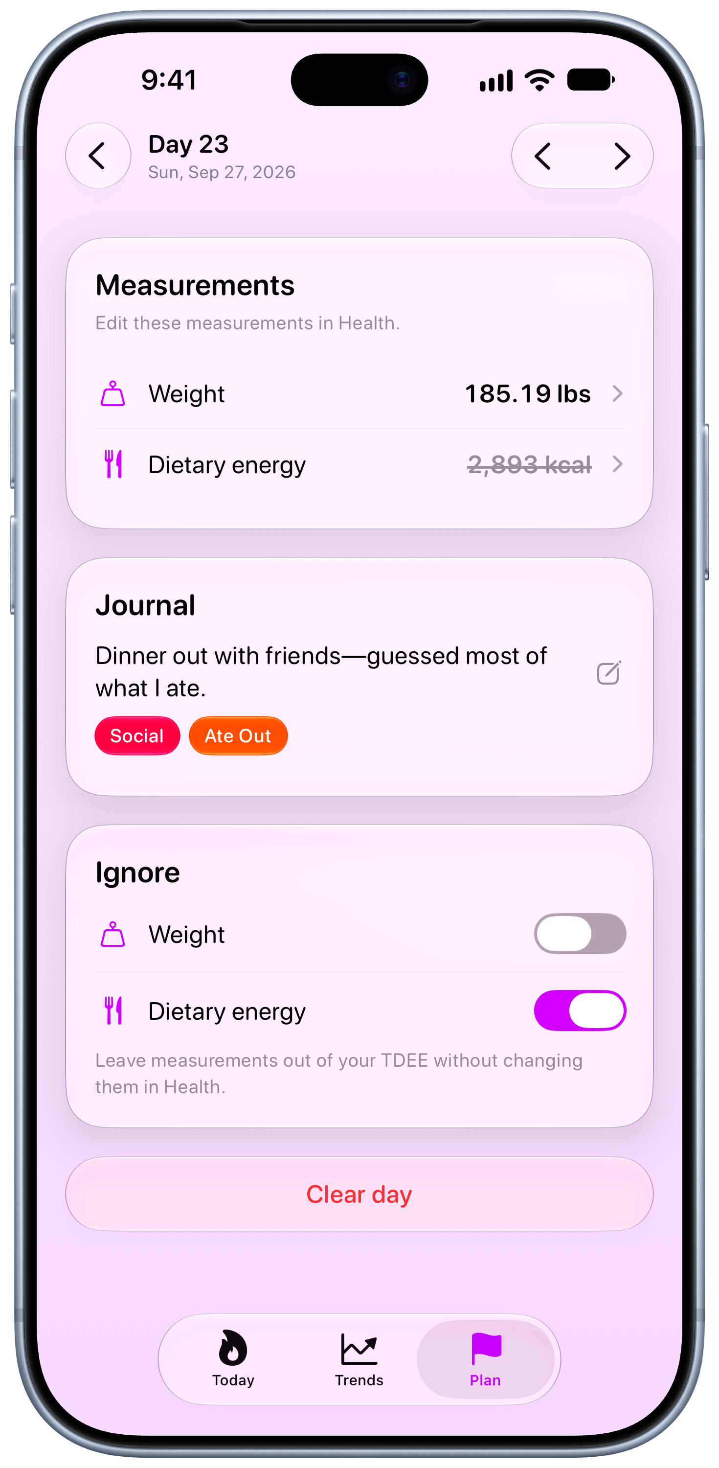 Burn Rate on iPhone 18 Pro Max showing Day Detail in the Purple tint, light appearance.