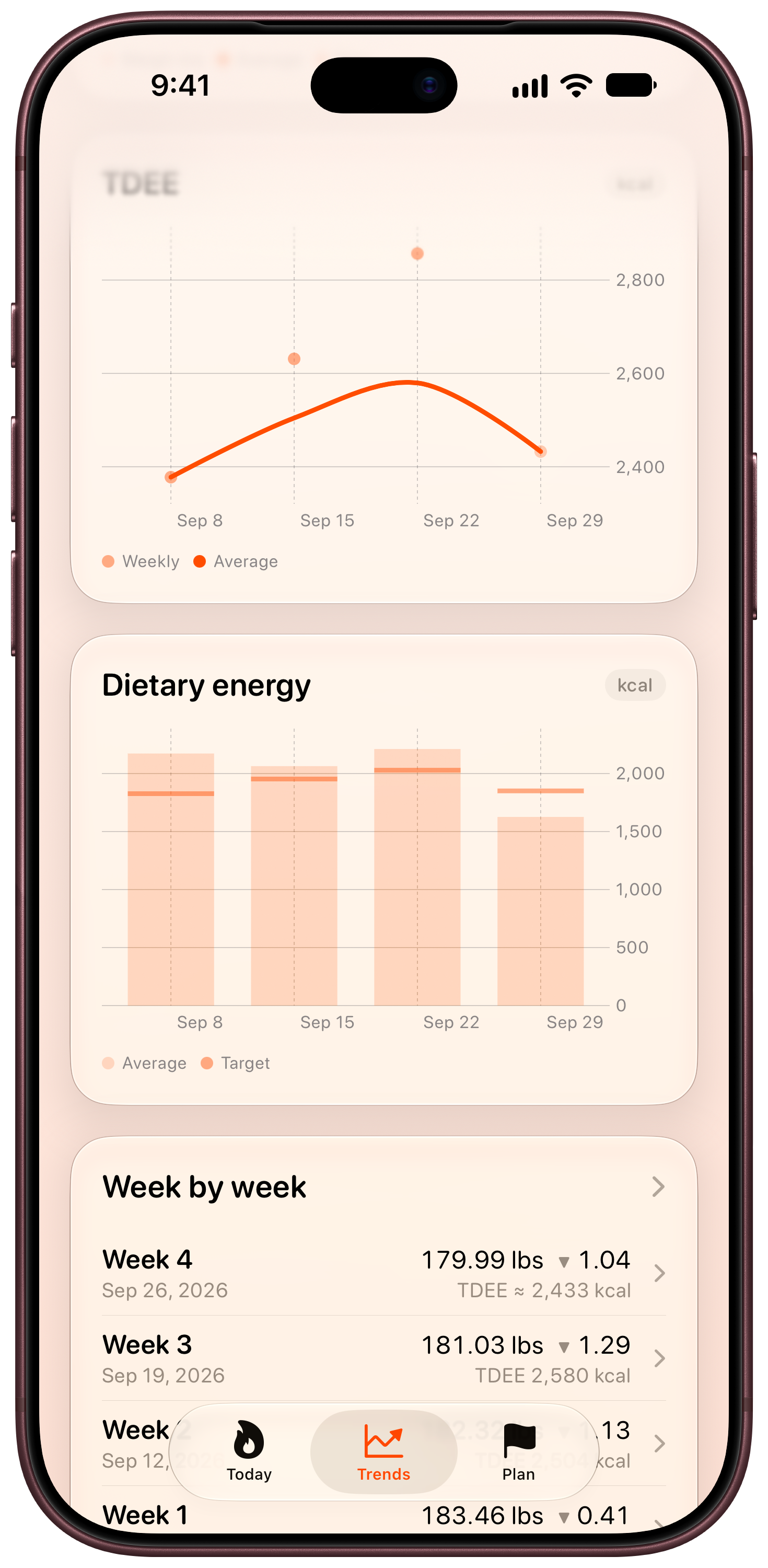 Burn Rate on iPhone 18 Pro Max showing Intake Target in the Orange tint, light appearance.