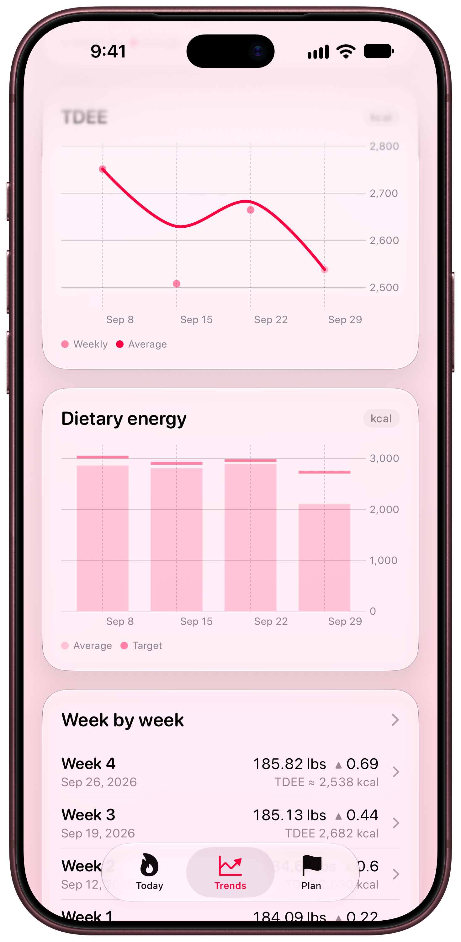 Burn Rate on iPhone 18 Pro Max showing Intake Target in the Pink tint, light appearance.