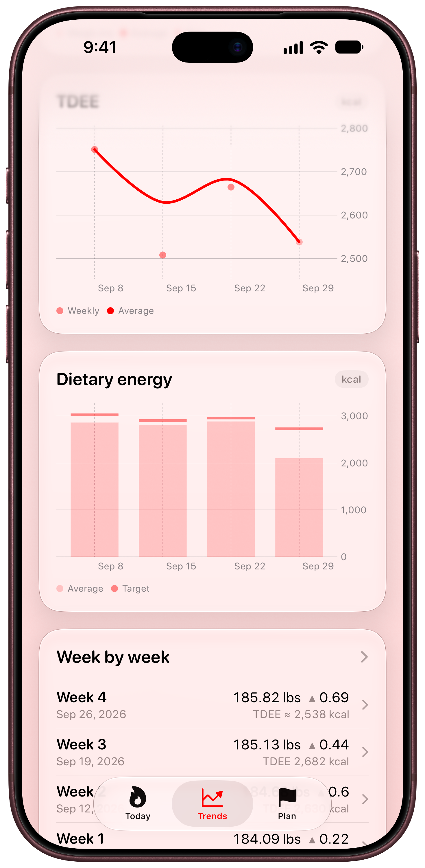 Burn Rate on iPhone 18 Pro Max showing Intake Target in the Red tint, light appearance.