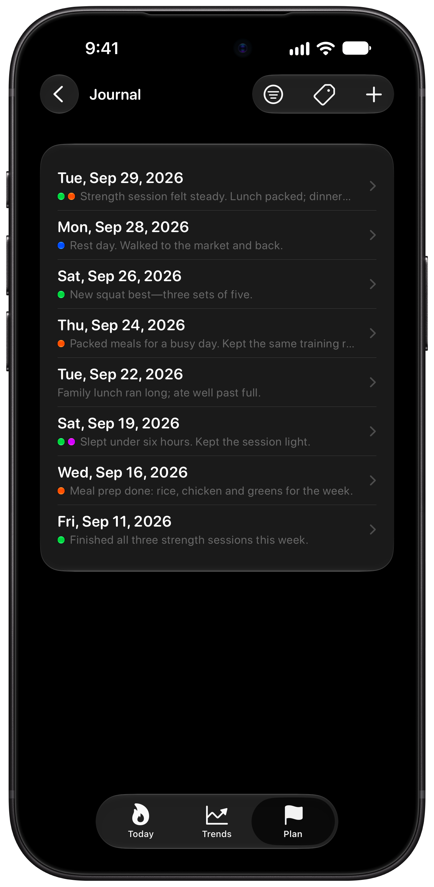 Burn Rate on iPhone 18 Pro Max showing Journal in the Grey tint, dark appearance.