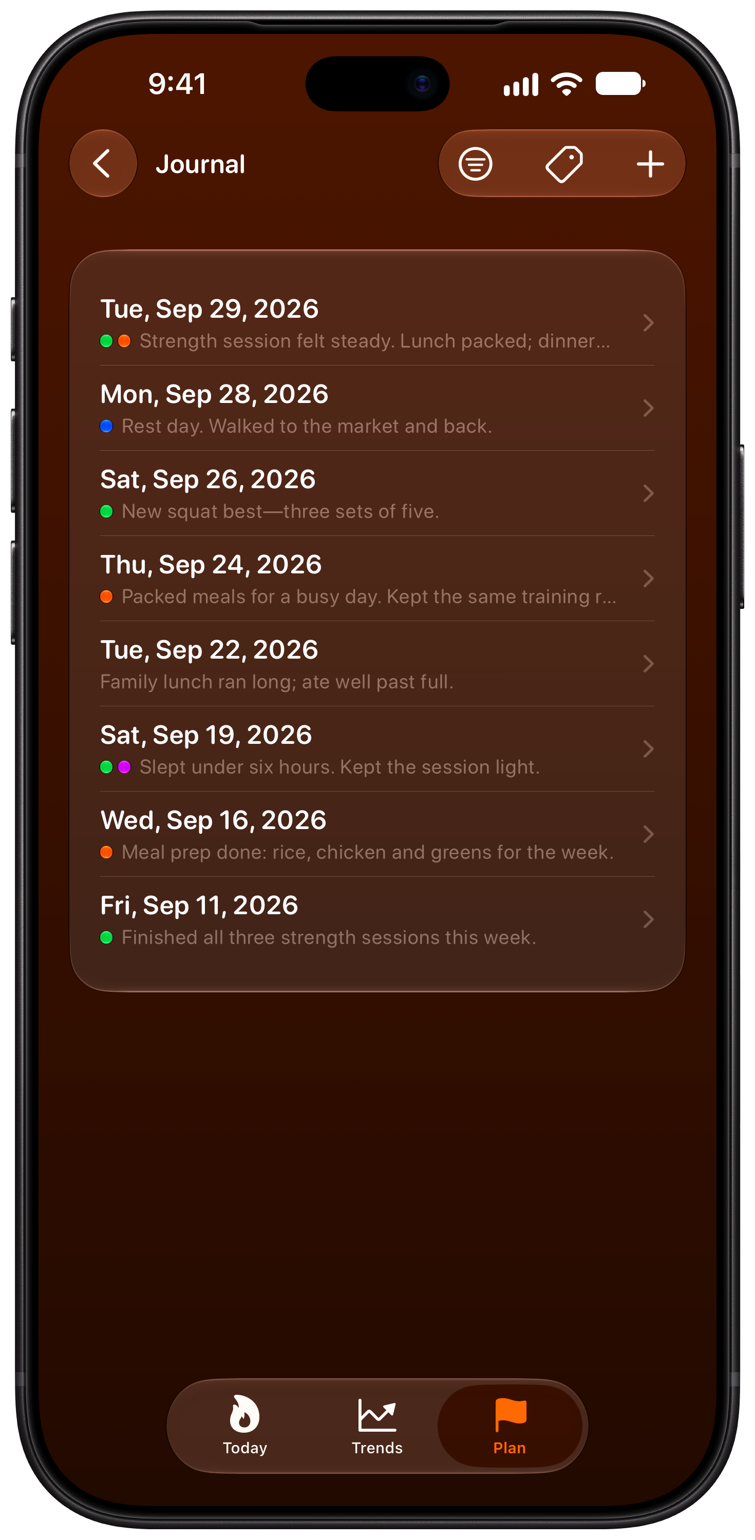 Burn Rate on iPhone 18 Pro Max showing Journal in the Orange tint, dark appearance.