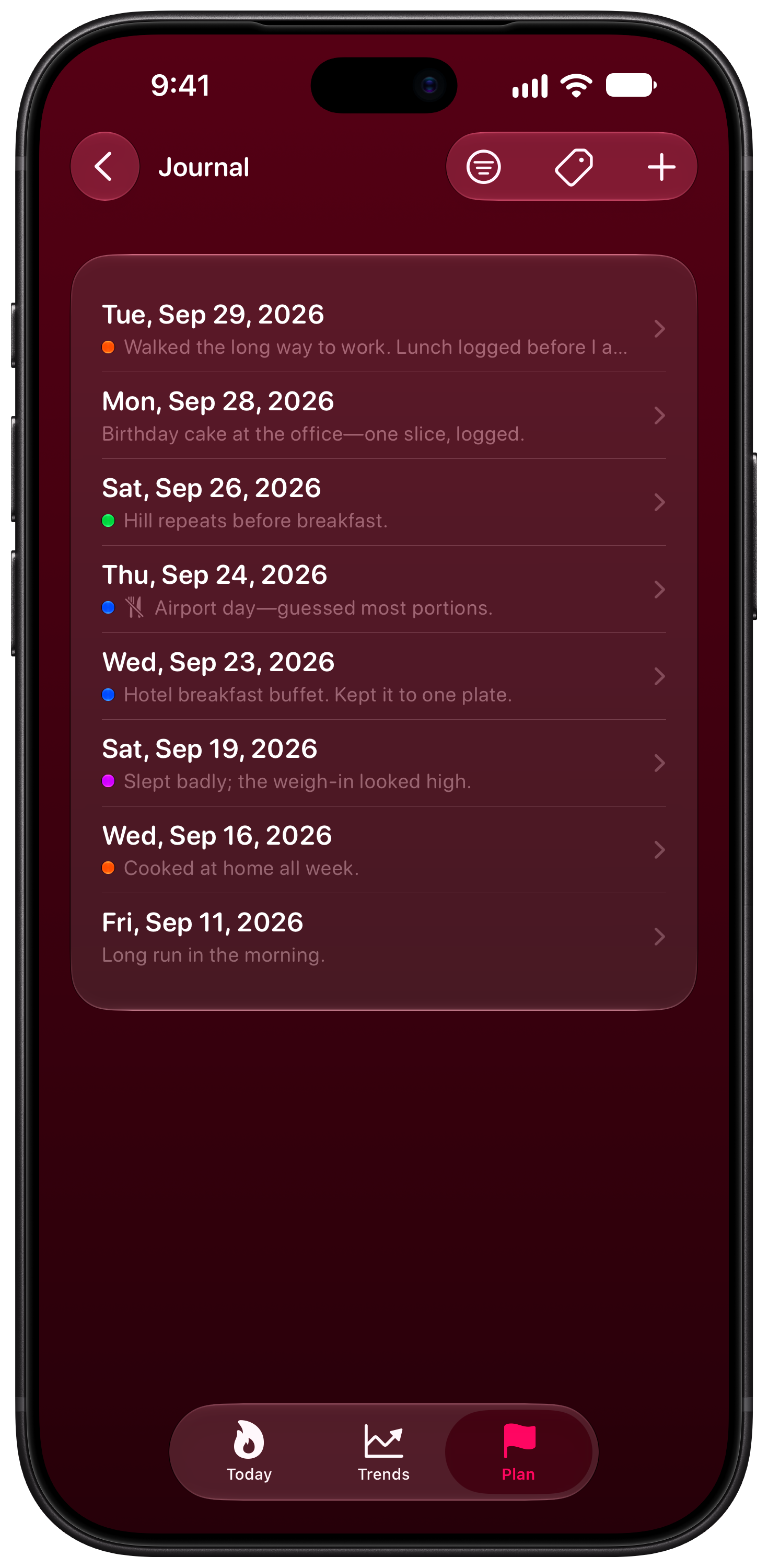 Burn Rate on iPhone 18 Pro Max showing Journal in the Pink tint, dark appearance.