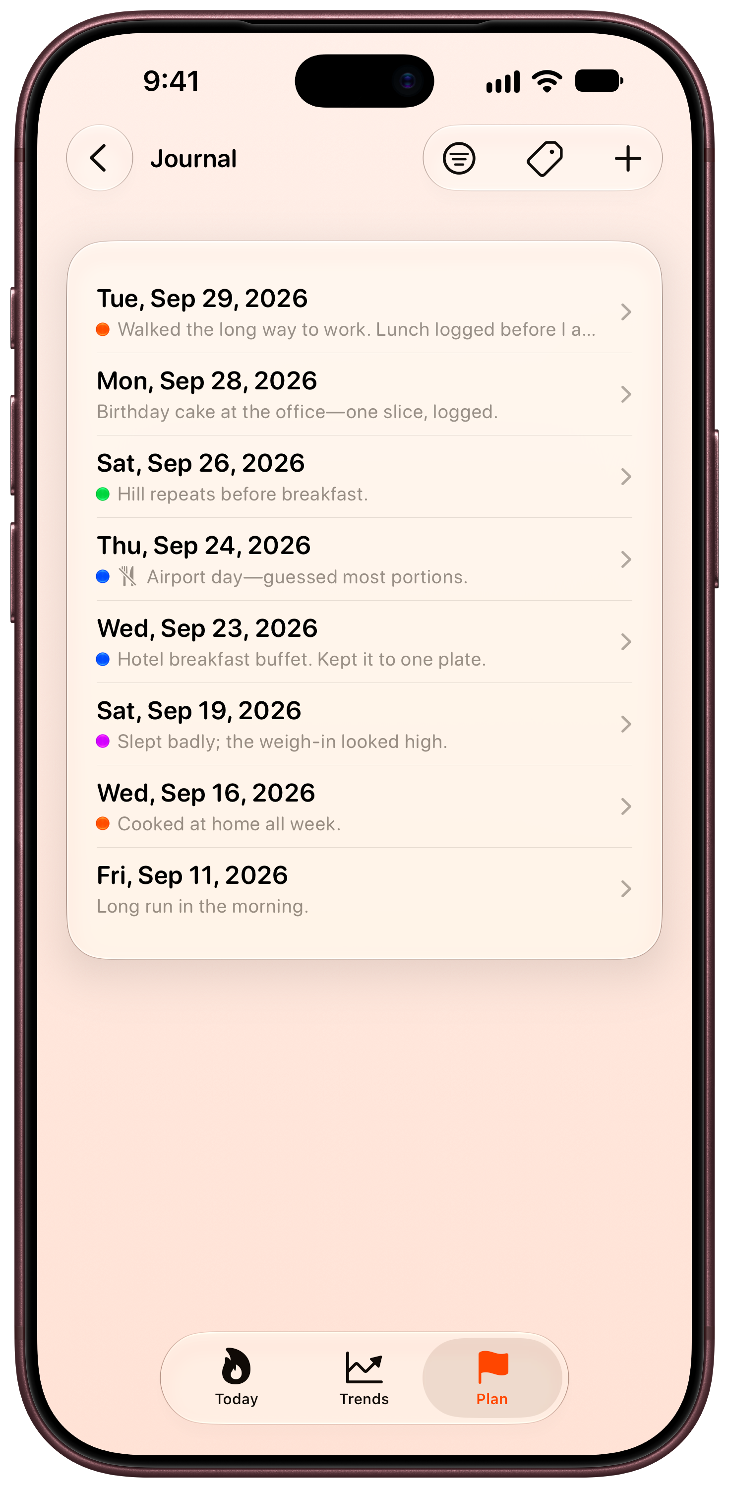 Burn Rate on iPhone 18 Pro Max showing Journal in the Orange tint, light appearance.